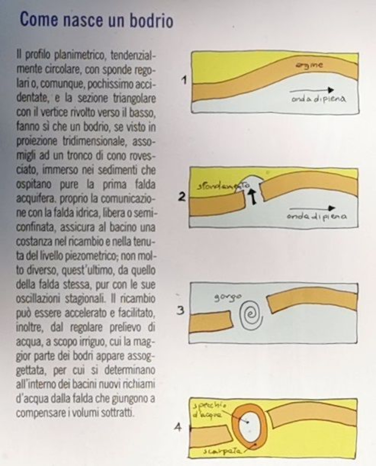 Hero Pannelli illustrativi formazione Bodri