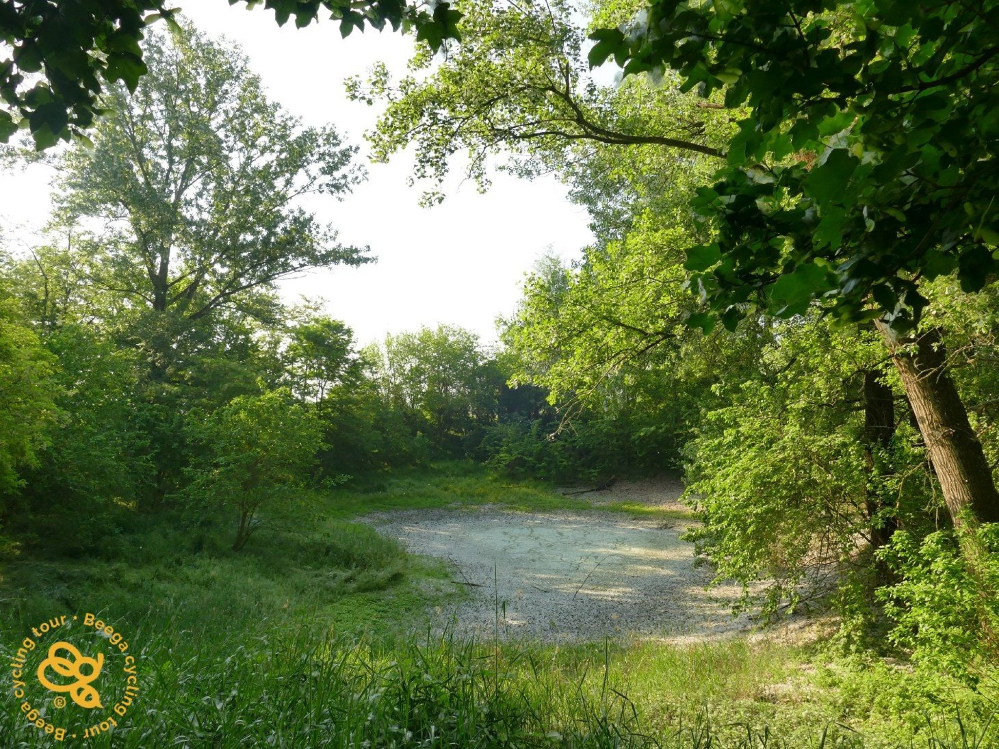 Hero Bodrio della Ca' Vecchia