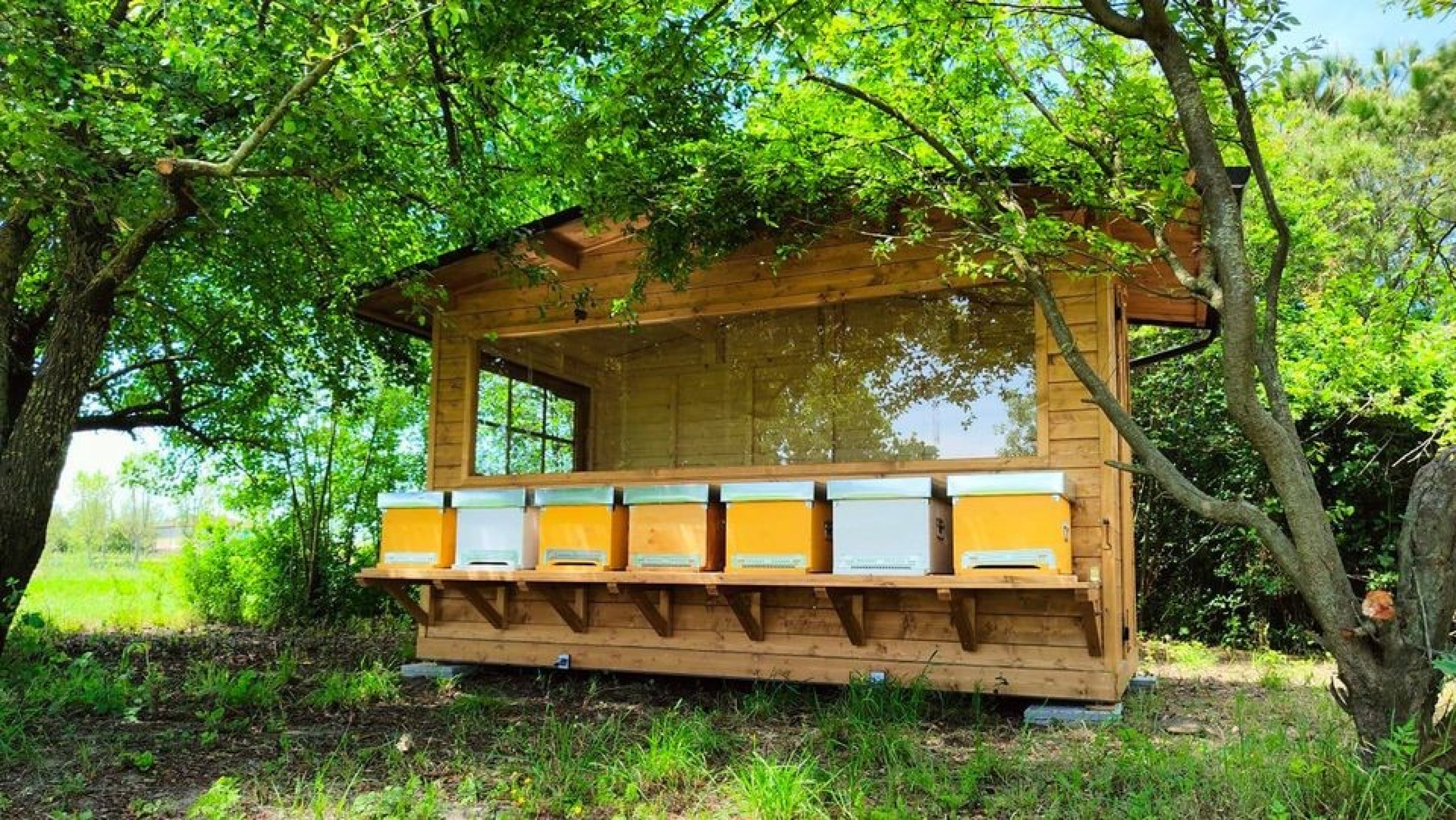 Hero Apiario del Benessere