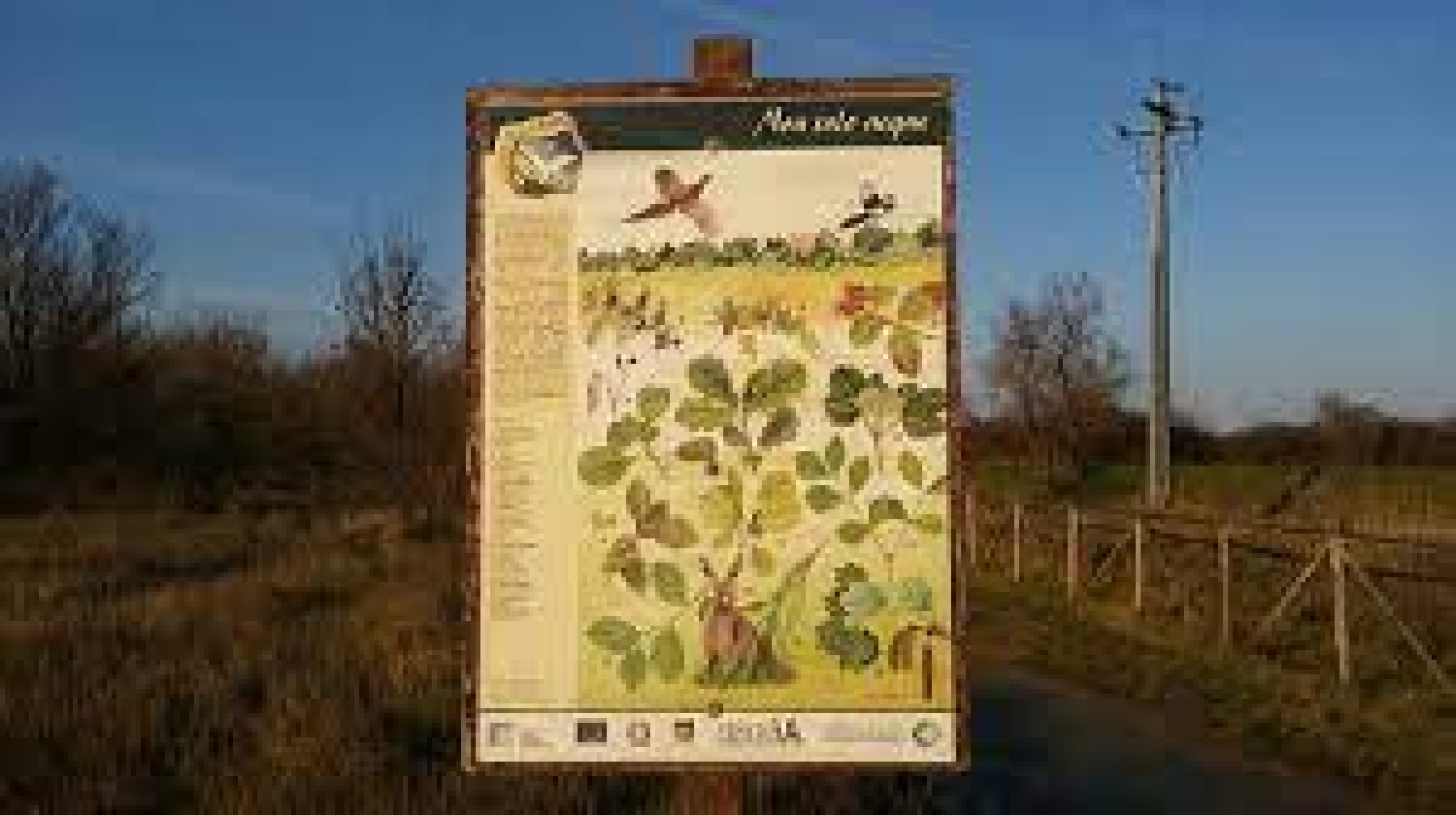 Hero Oasi di Cà Mello