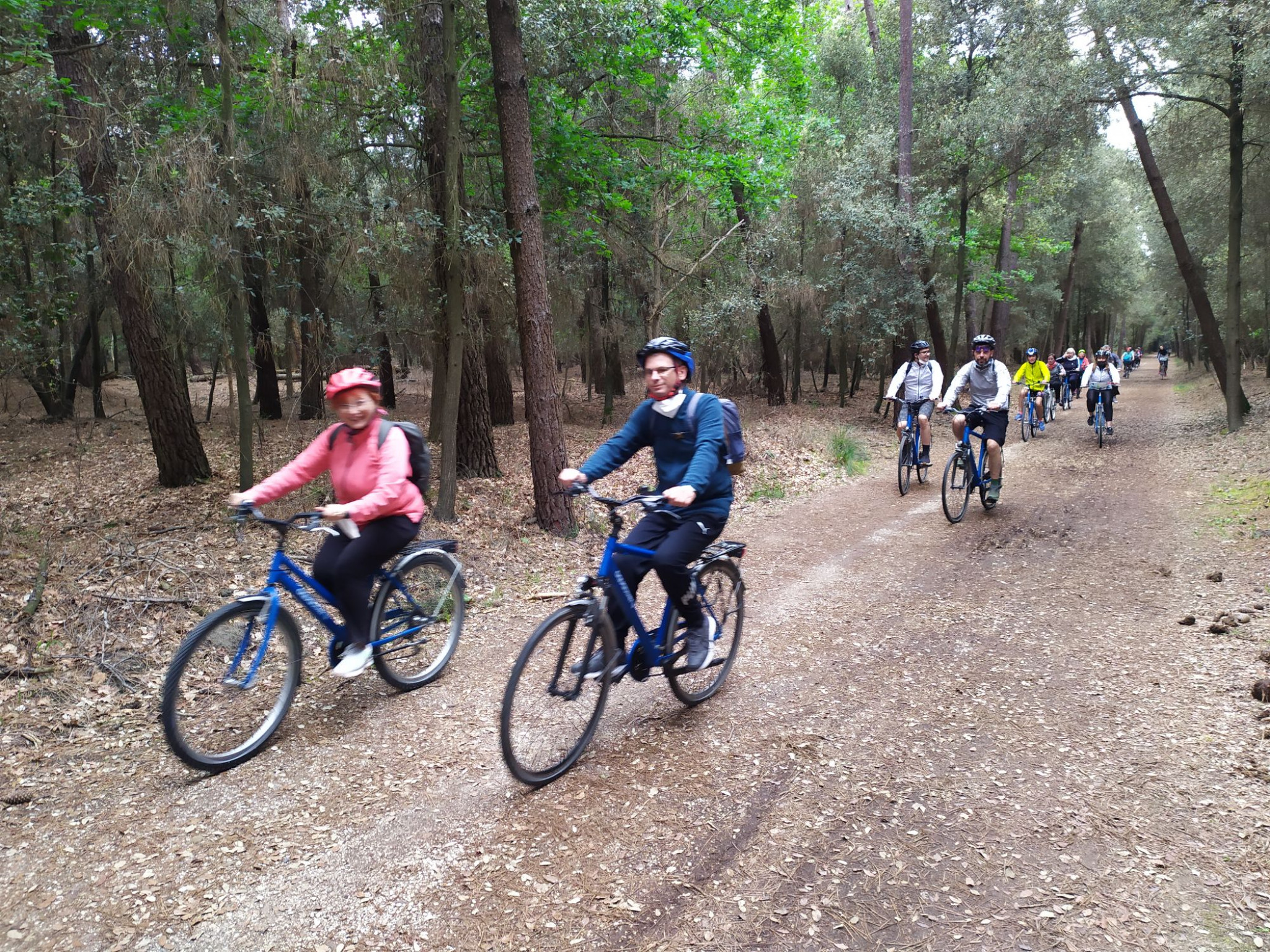 Hero Pineta di Volano