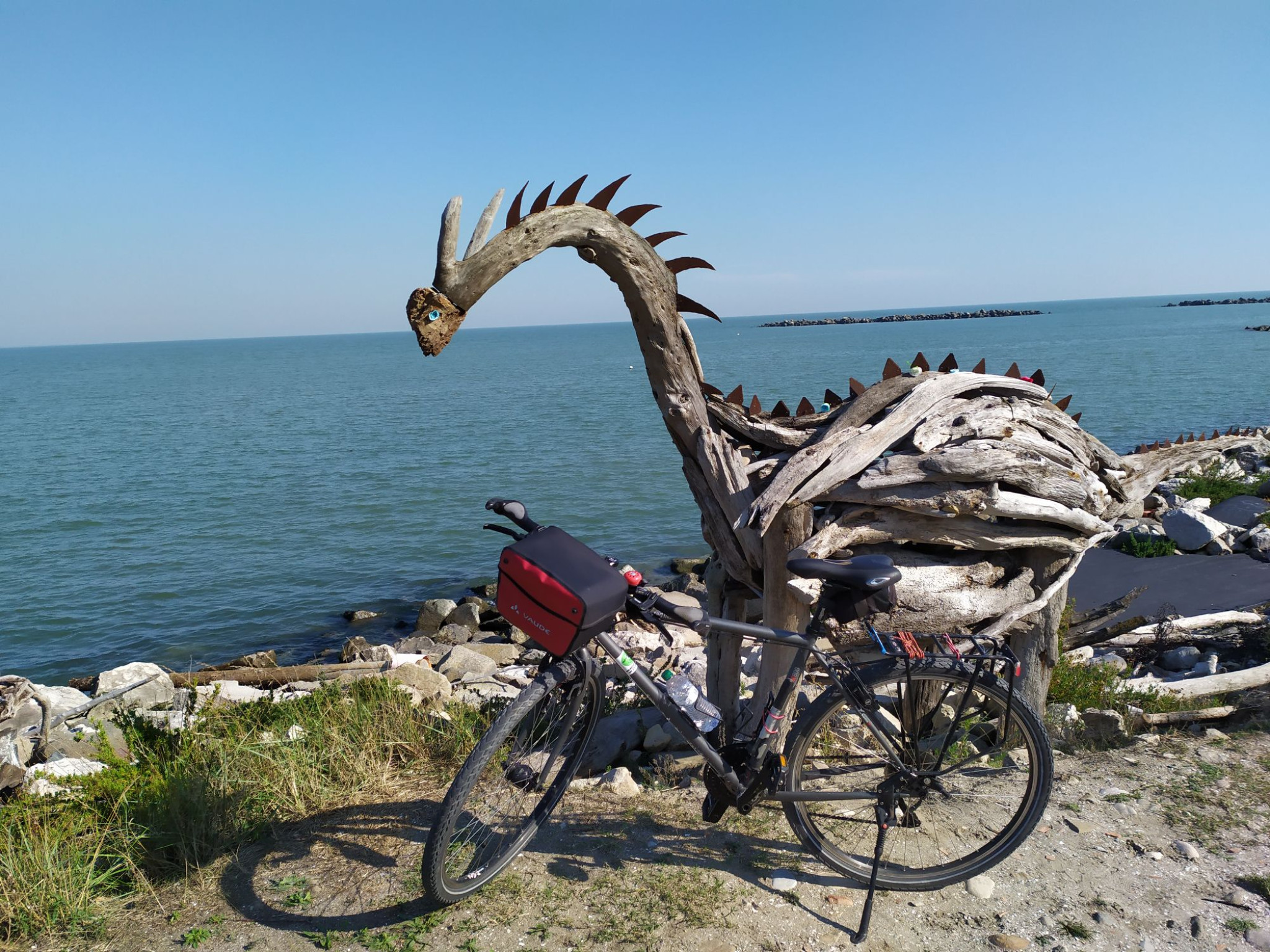 Hero Dinosauri con Legni dal mare