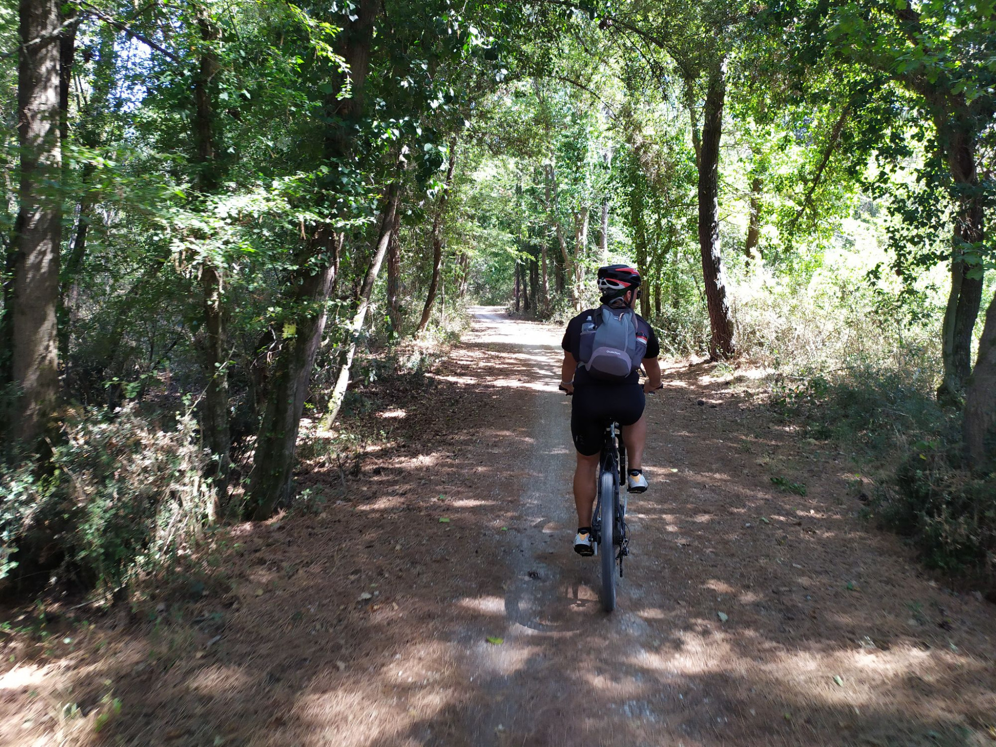 Hero Pineta di Classe