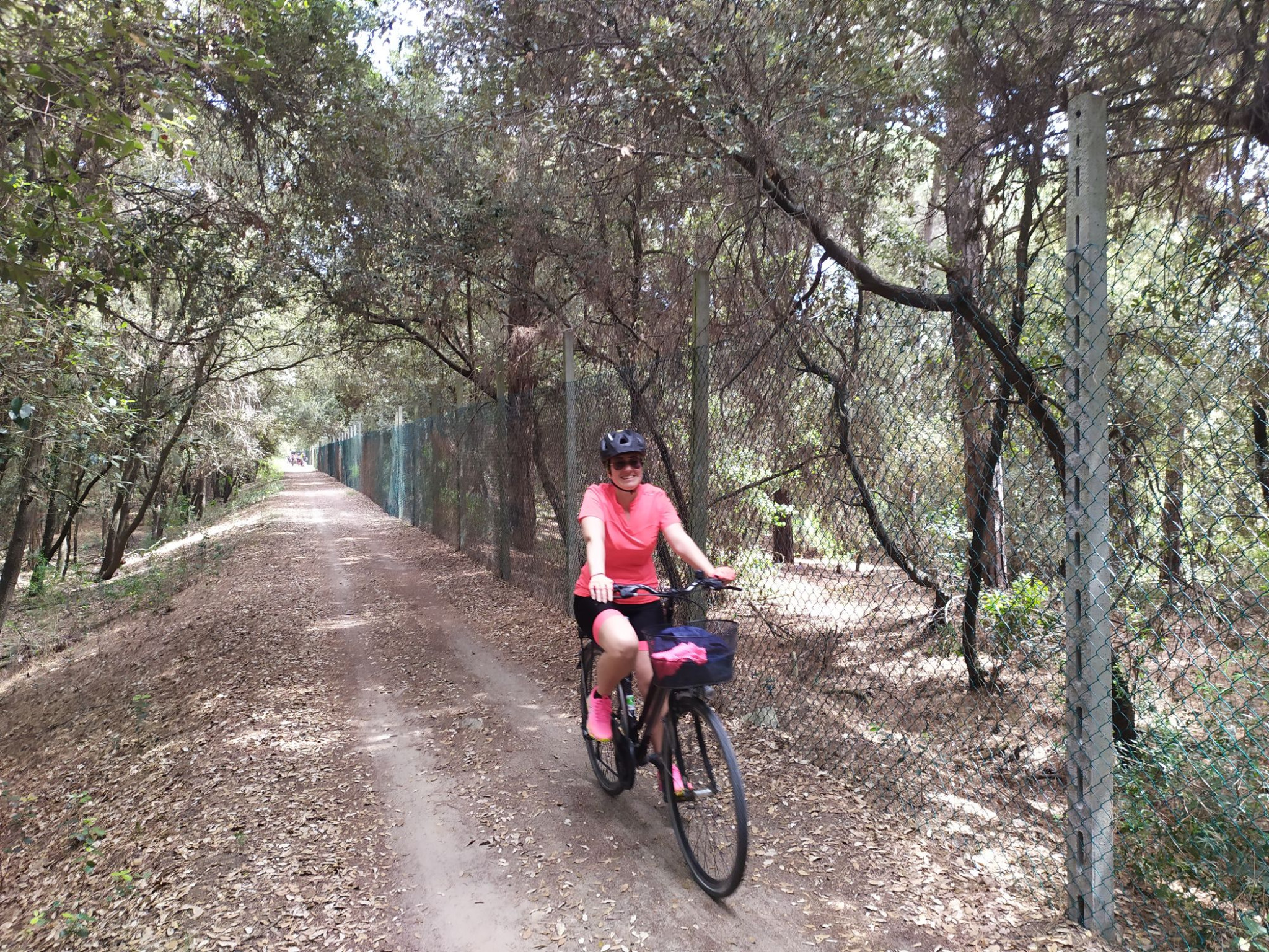 Hero Bosco della Mesola