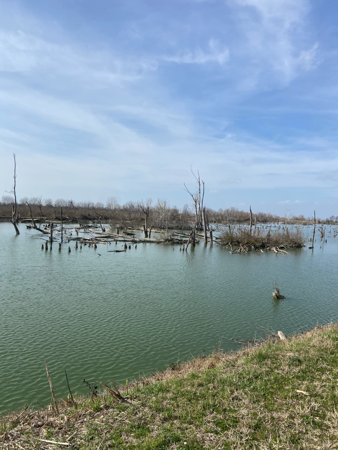 Hero Golena Cà Pisani