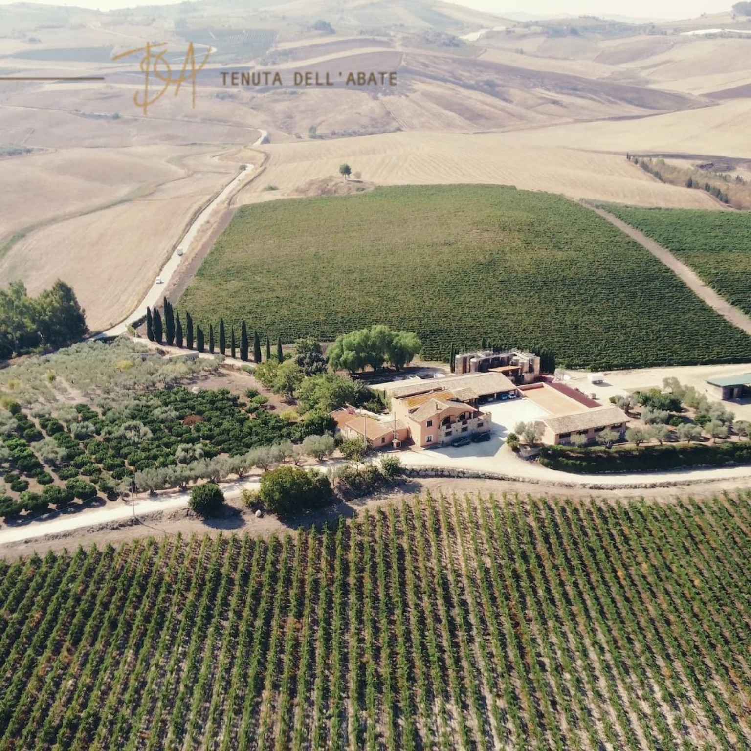 Hero Azienda vitivinicola "Tenute dell'Abate"