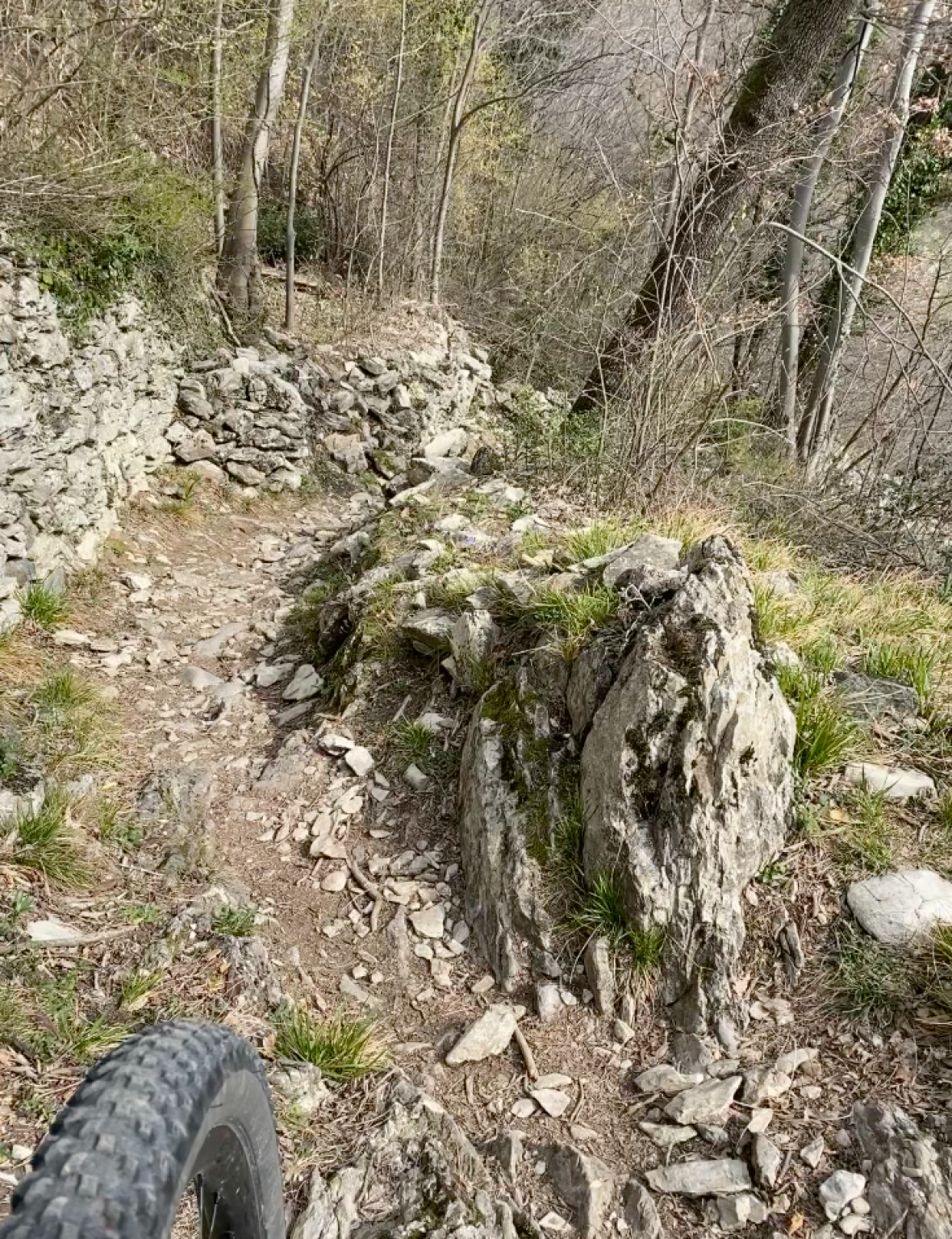 Hero Single track tecnico