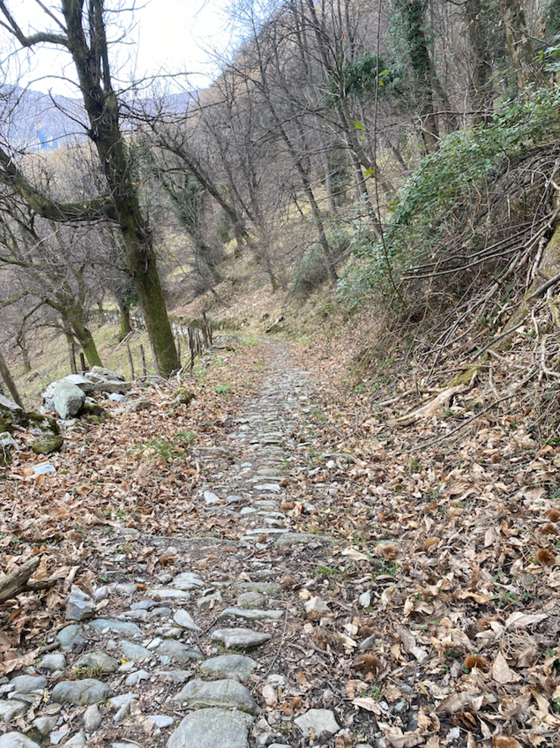 Hero Discesa di S. Giorgio