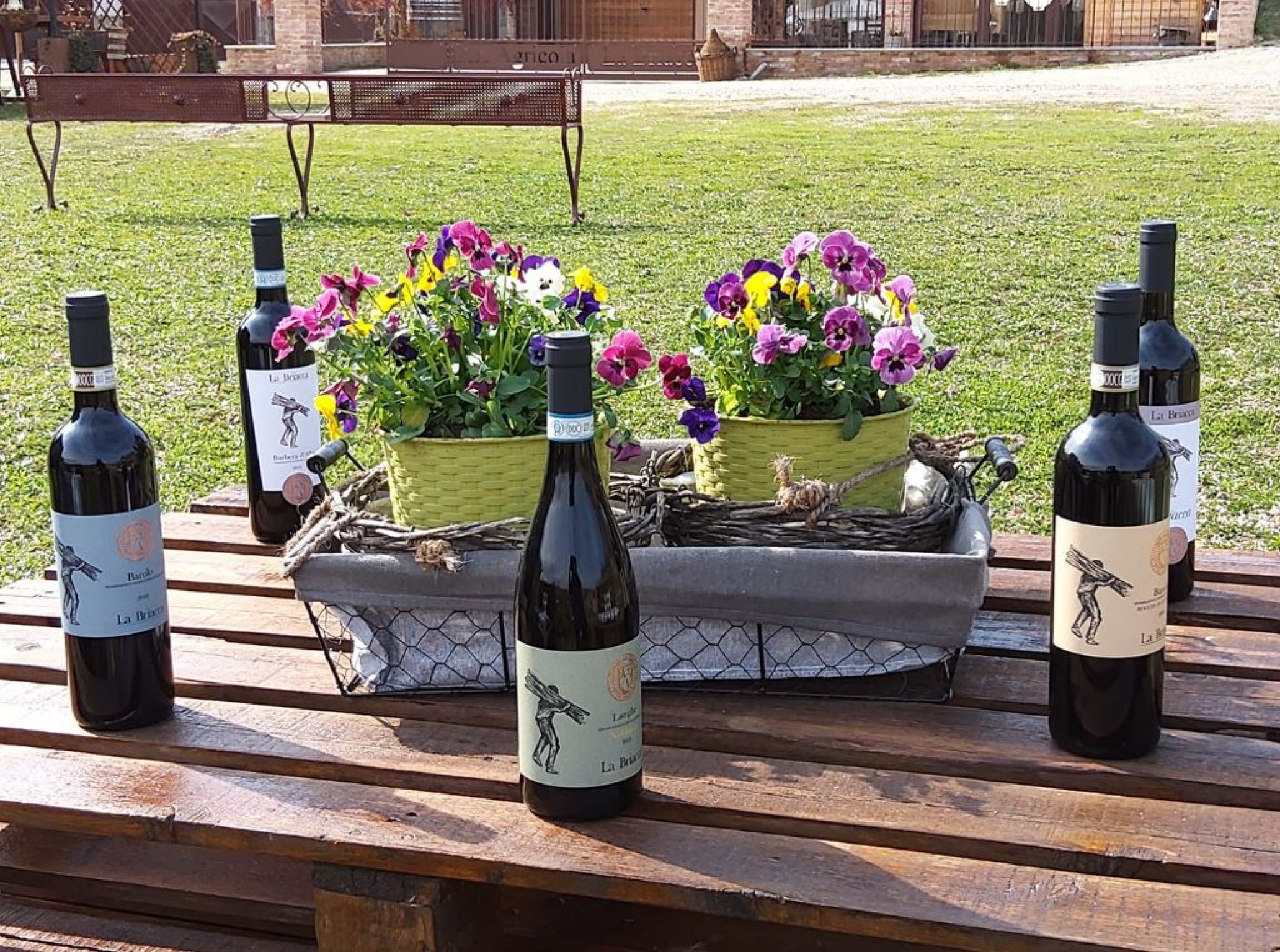 Hero Azienda Agricola La Briacca