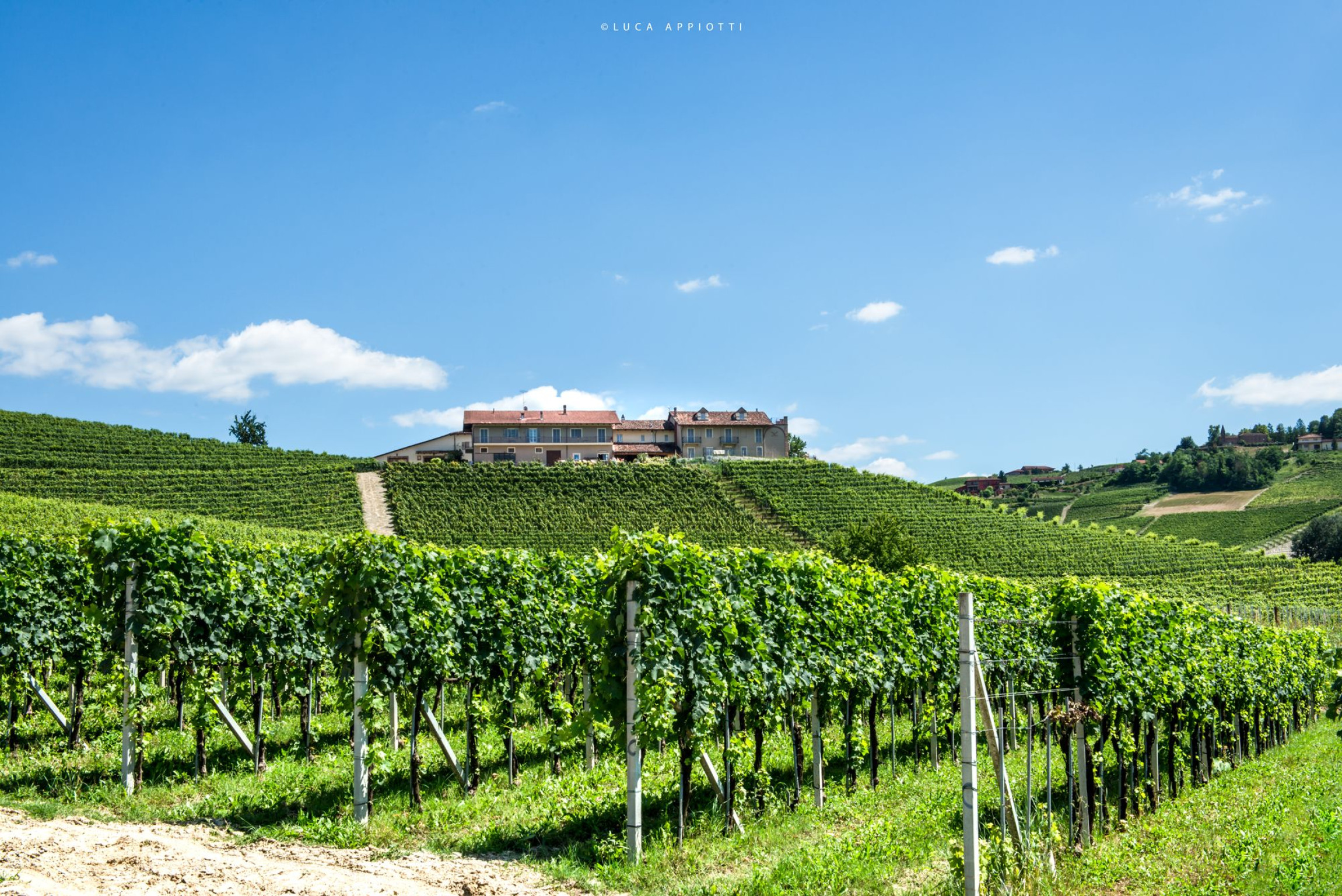 Hero FRANCO CONTERNO - CASCINA SCIULUN S.S.A