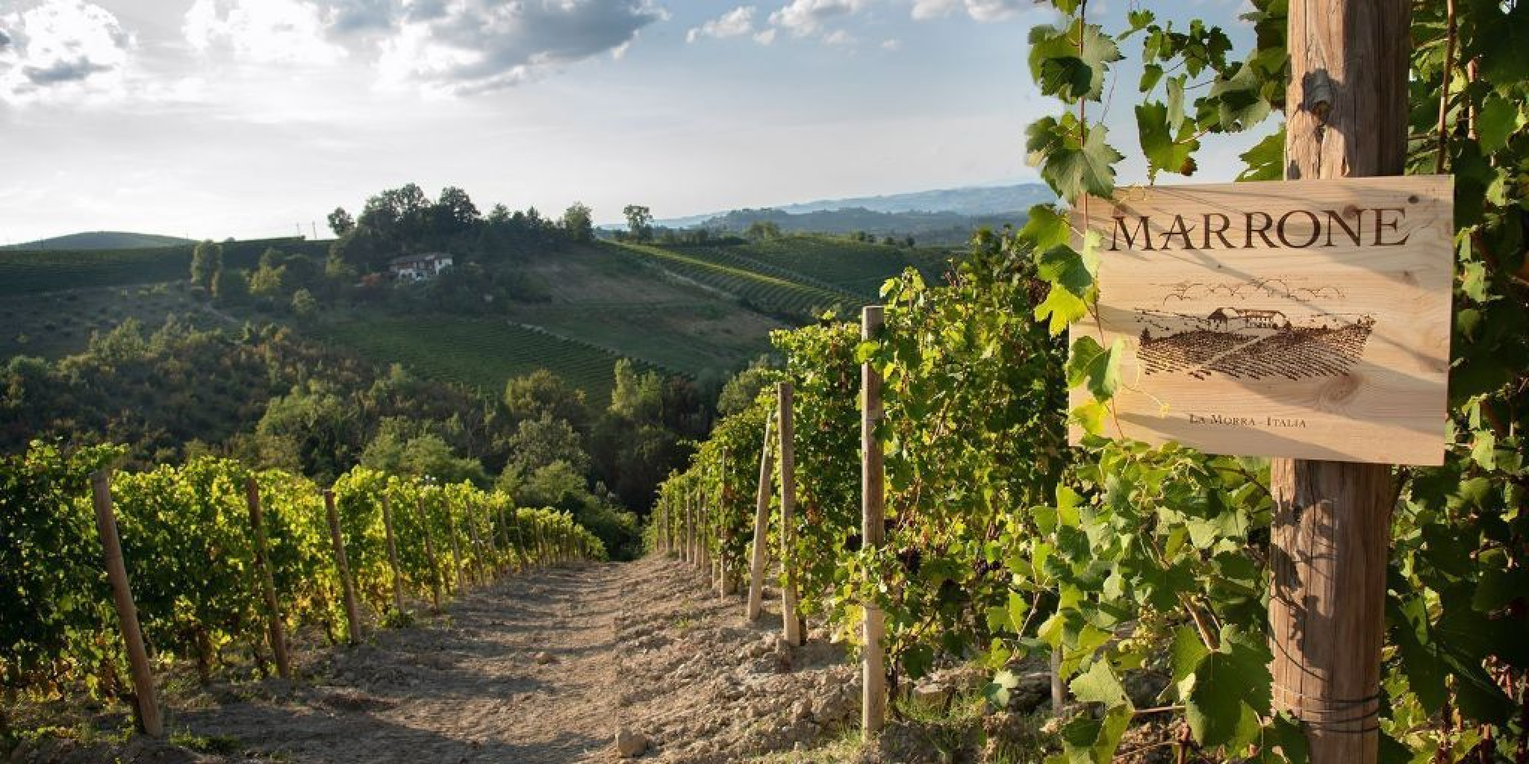 Hero Azienda Agricola Marrone