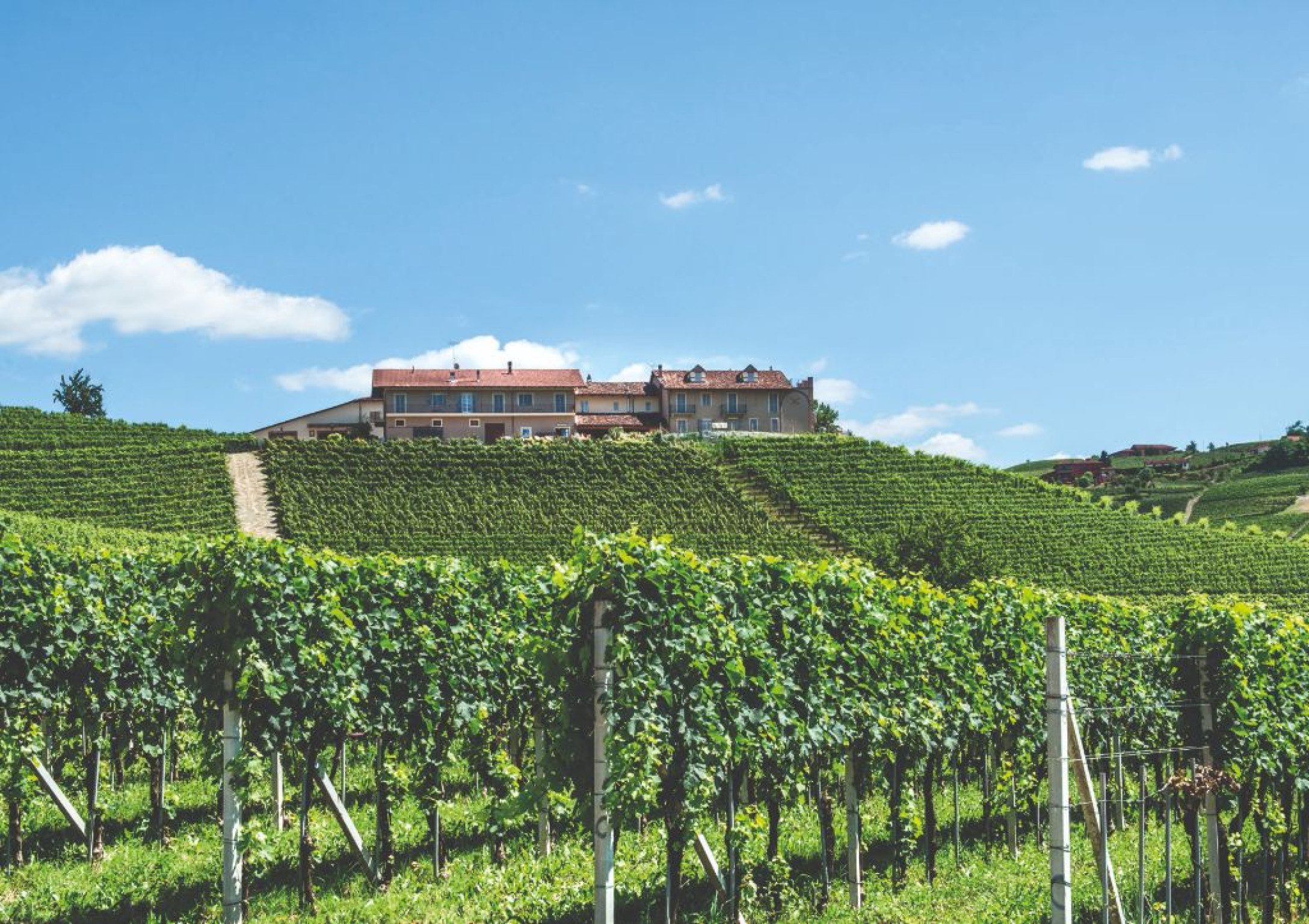 Hero Franco Conterno Cascina Sciulun