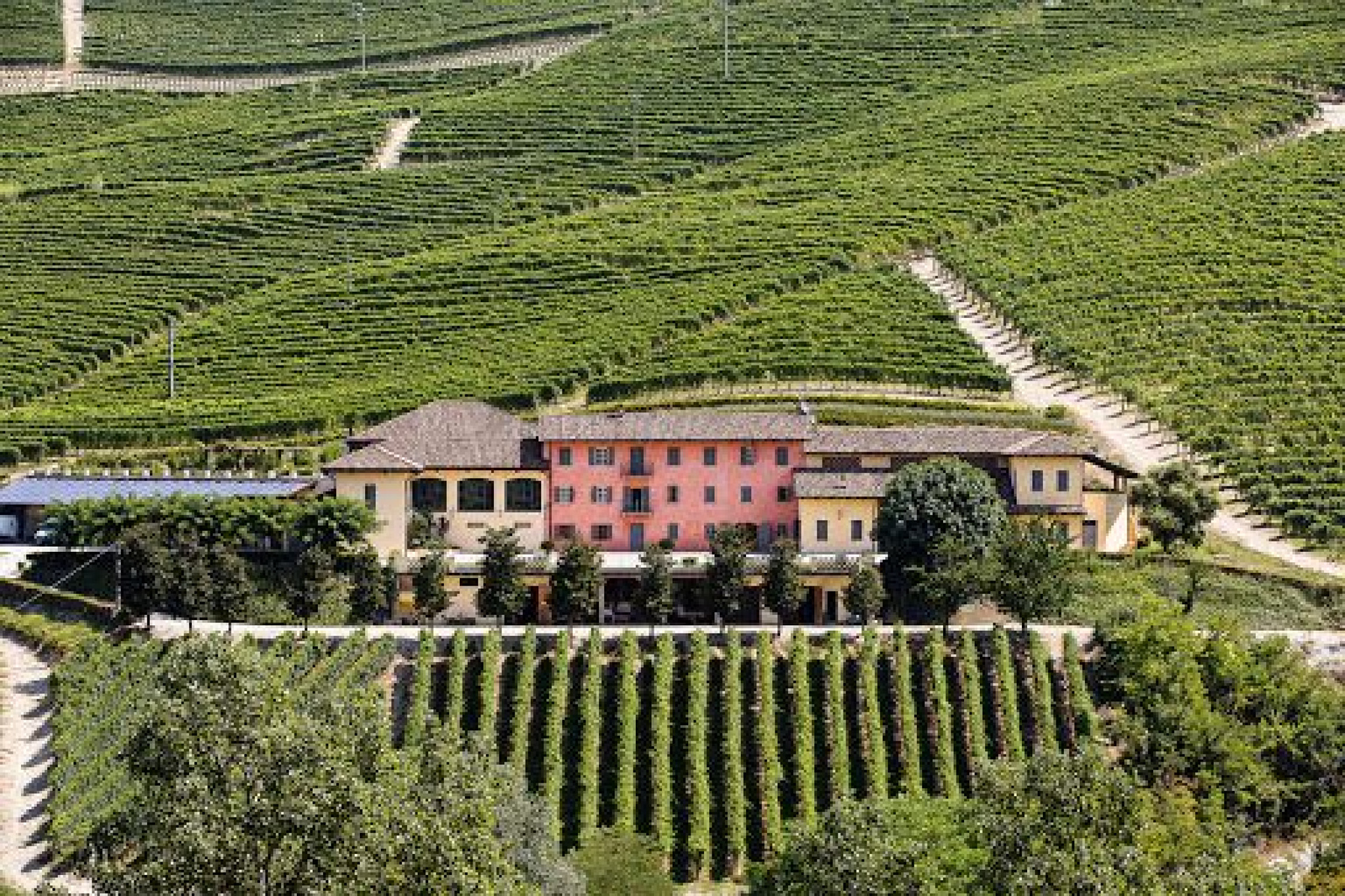 Hero Tenuta Cisa Asinari Dei Marchesi Di Grésy