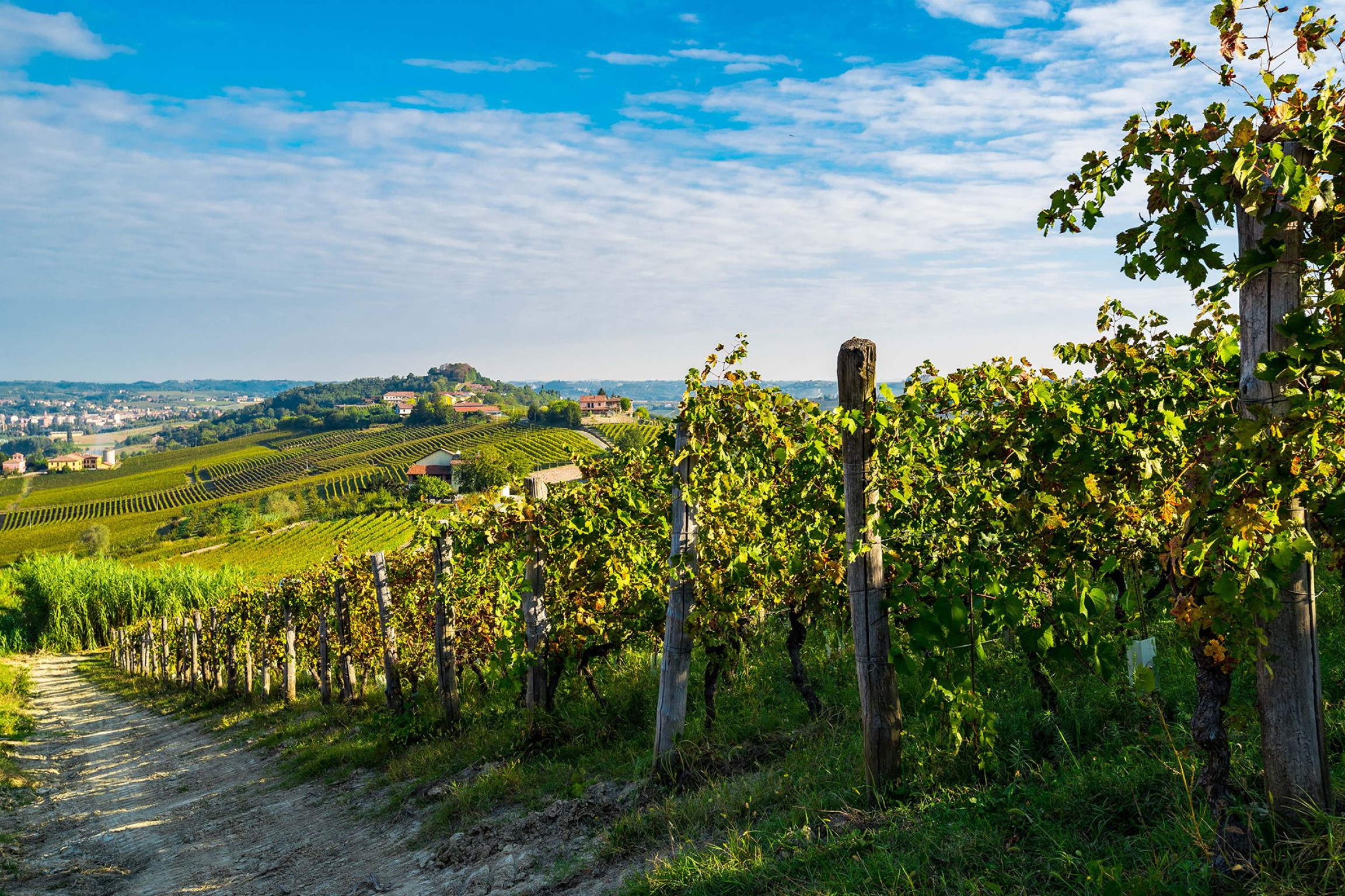 Hero Azienda Agricola Serra Domenico