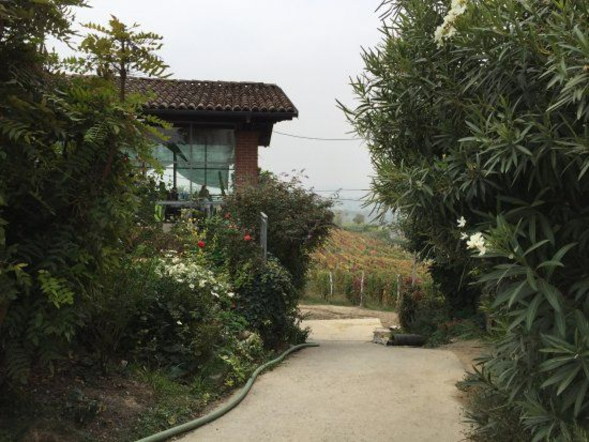 Hero Azienda Vinicola Erede di Chiappone Armando