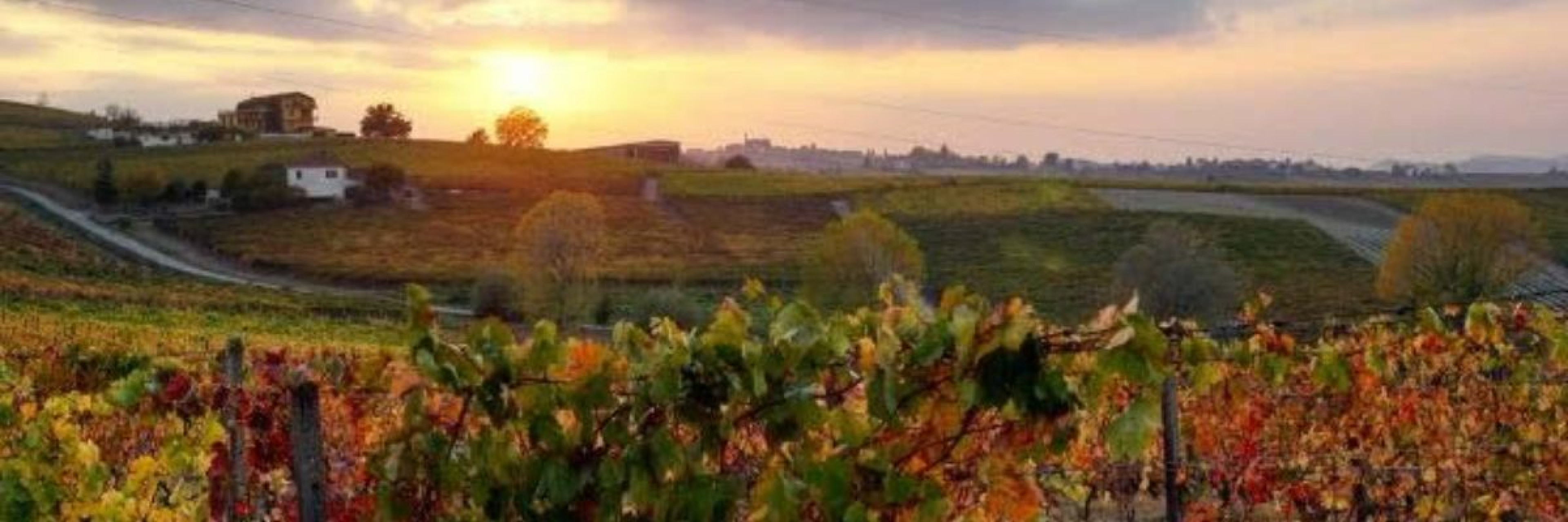 Hero Cascina Perfumo