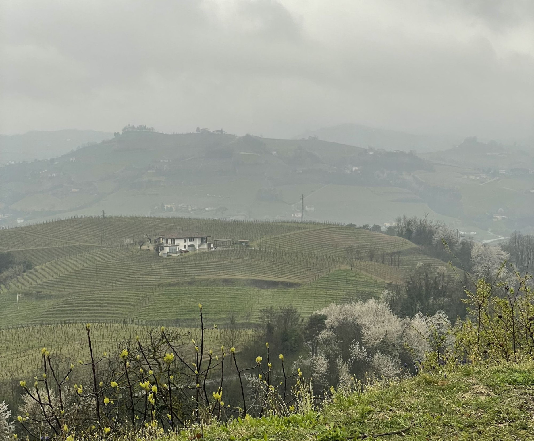 Hero Il Casotto di Tojo