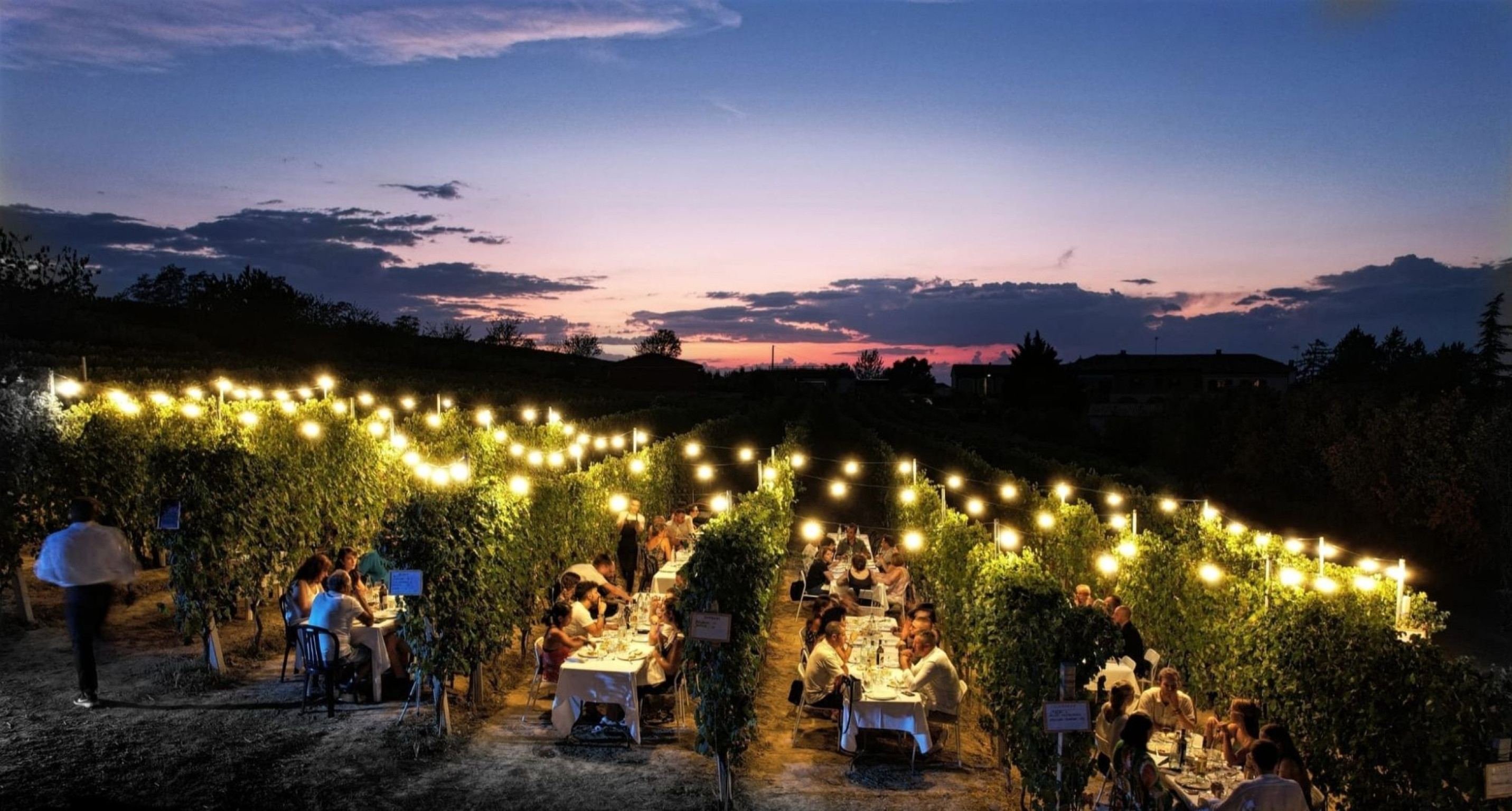 Hero Azienda Vinicola Tenuta la Graziosa