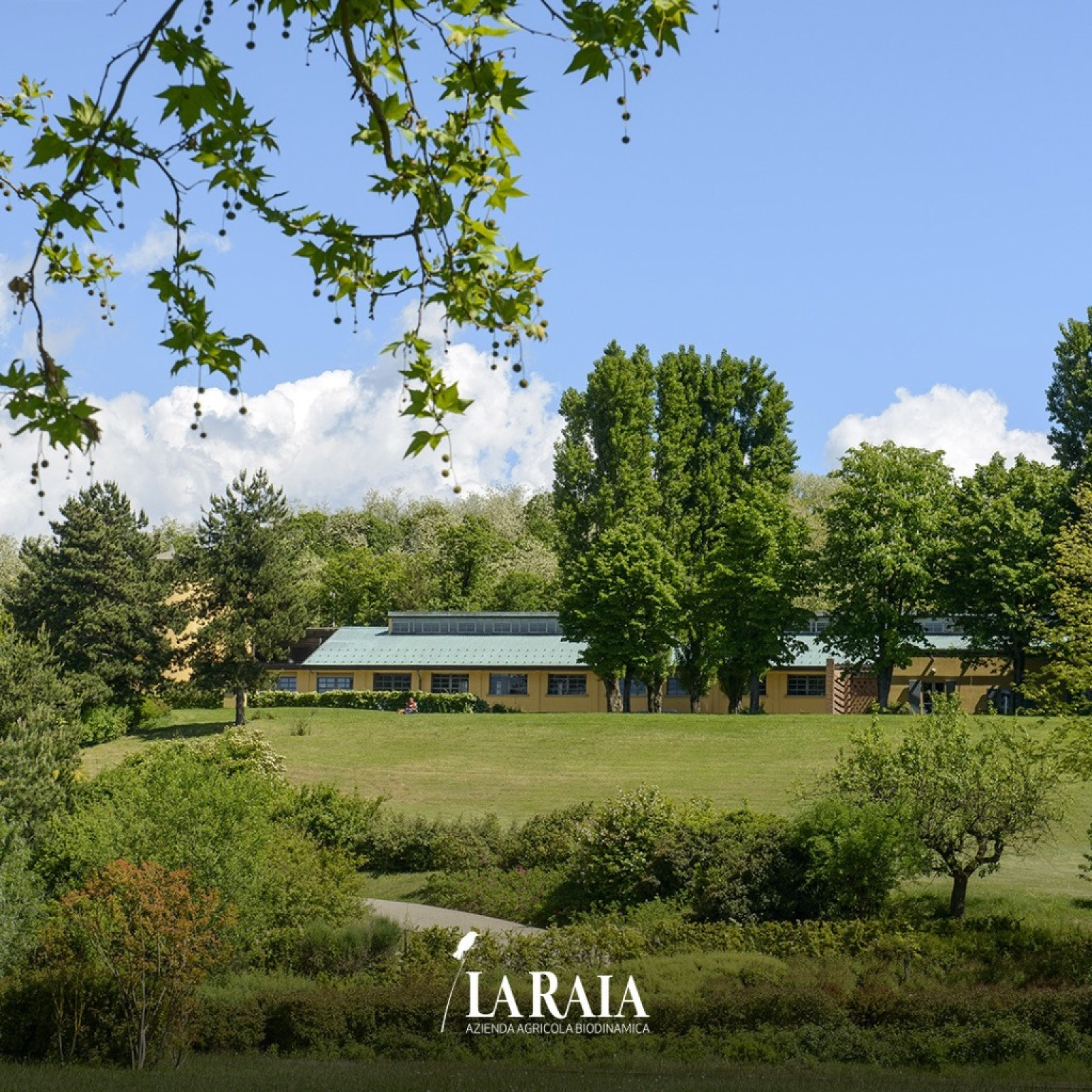 Hero Cantina Biodinamica La Raia