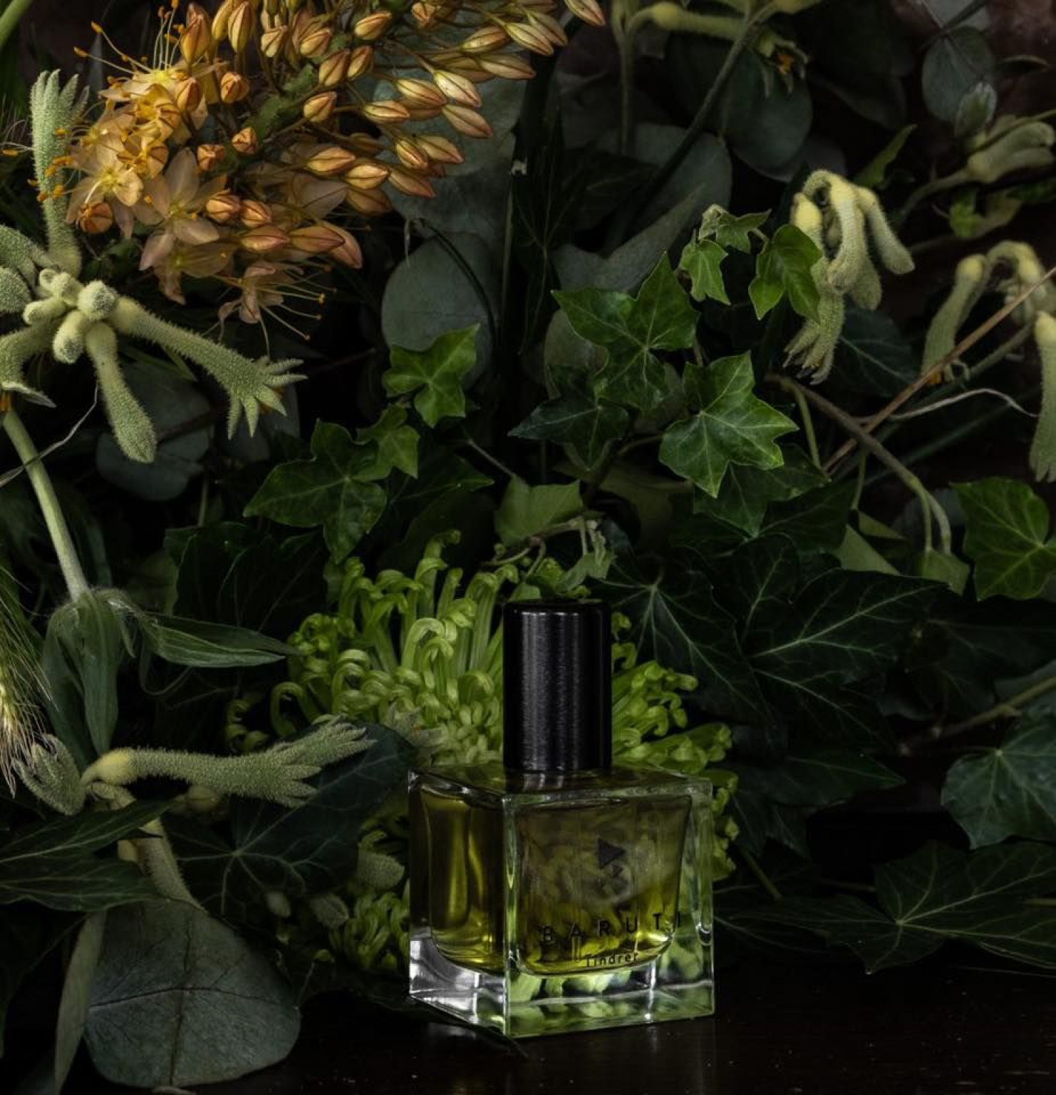 Hero Camelot Territorio in Tondo