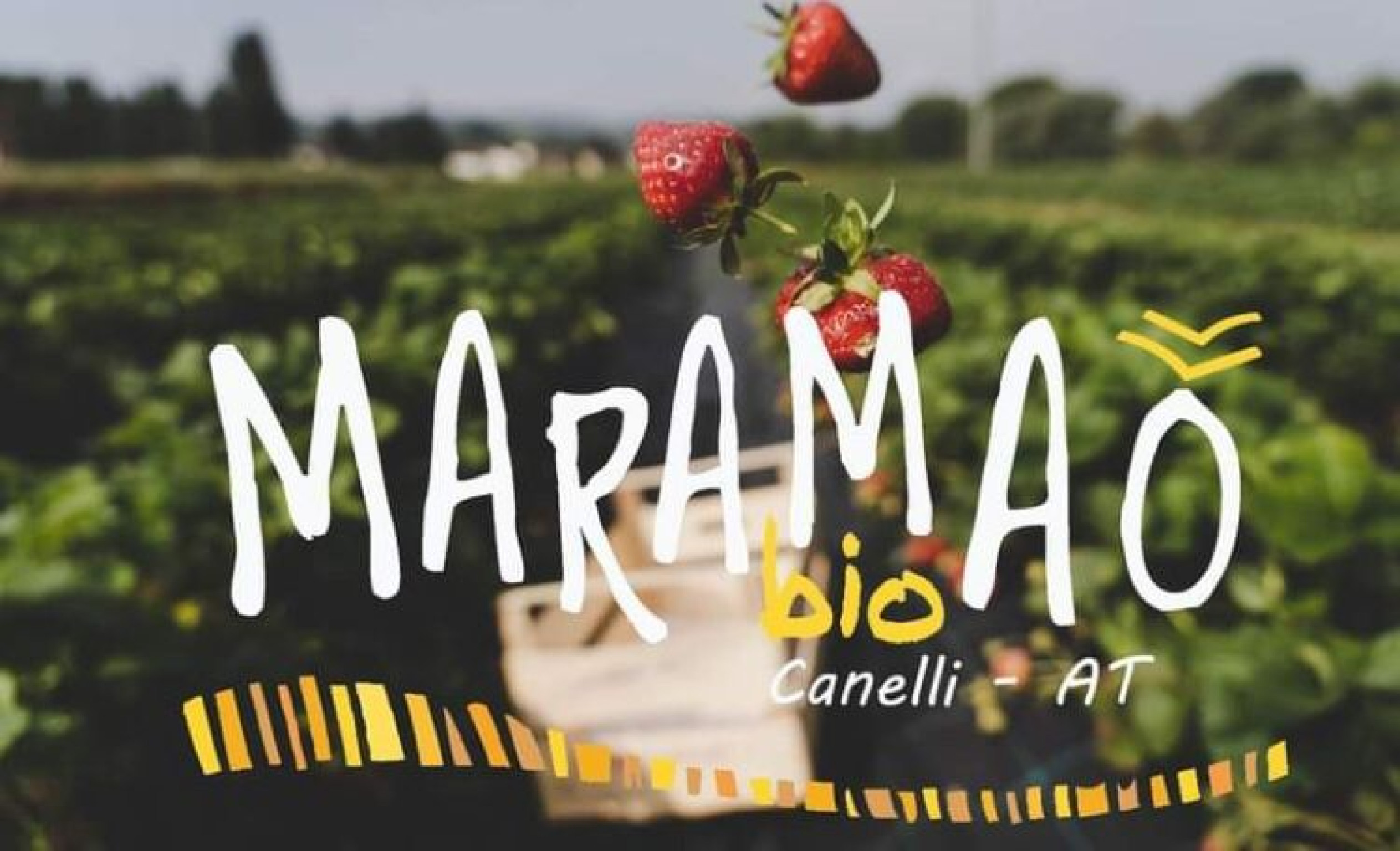 Hero Punto di ritiro Coop Maramao