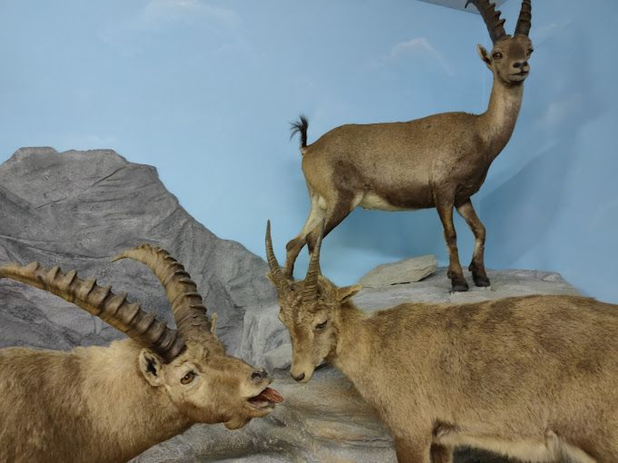 Hero Il Museo Naturalistico del fiume Po