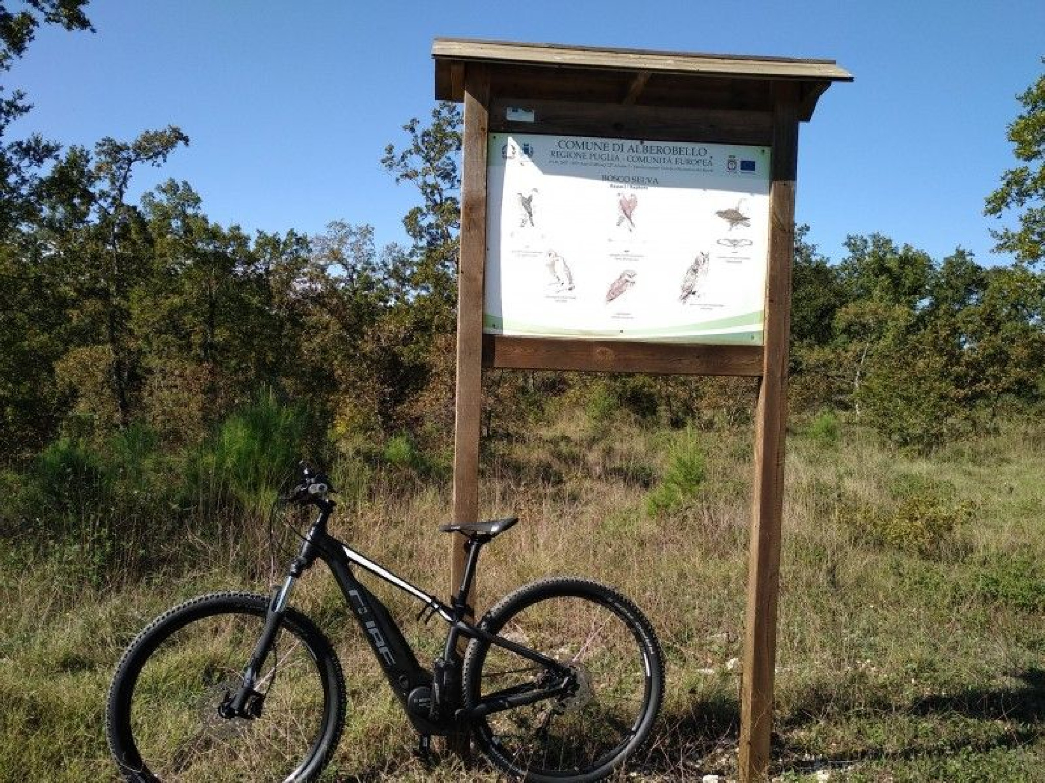 Hero Riserva naturale Bosco Selva