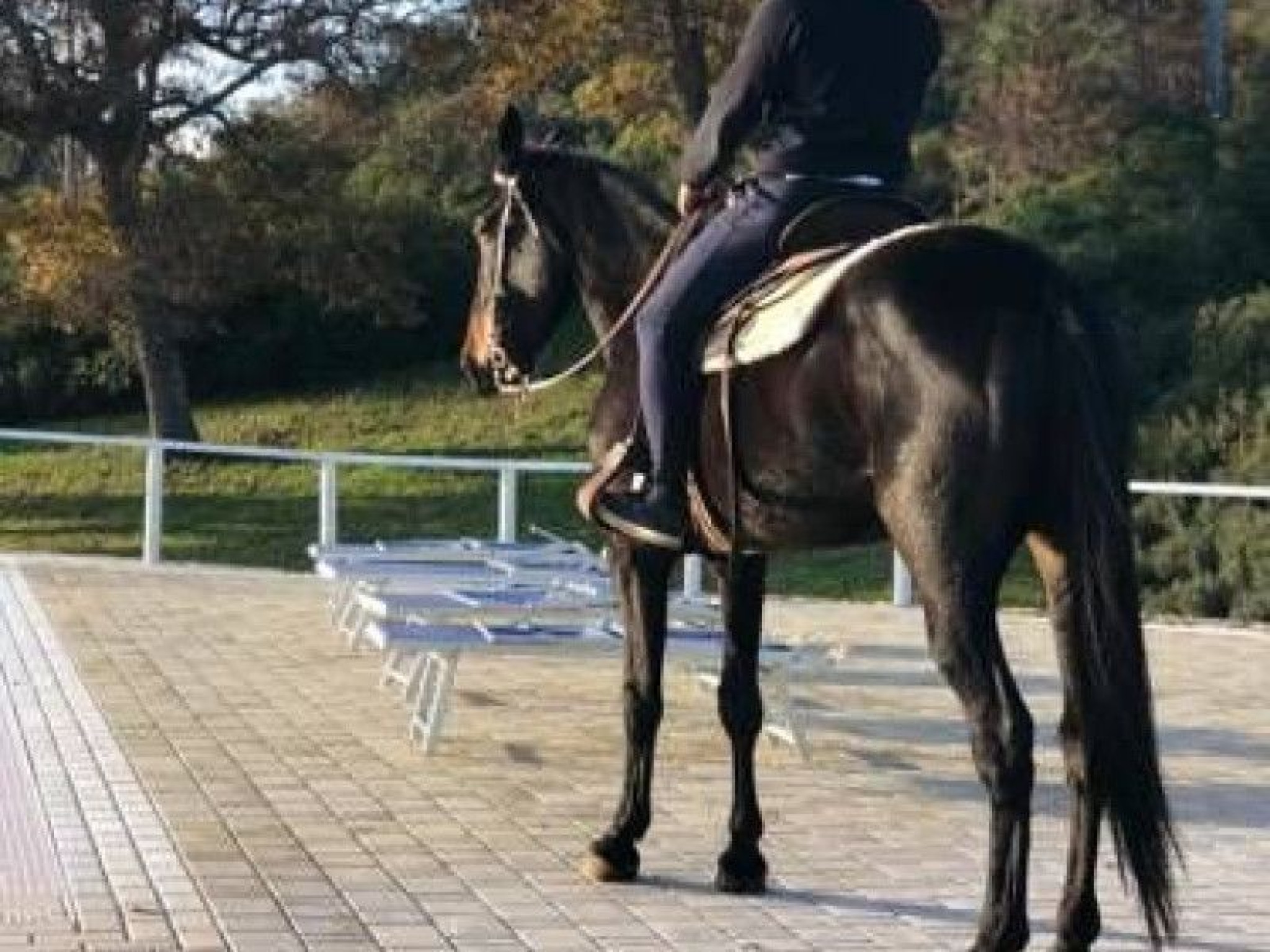 Hero AGRITURISMO PARETANO