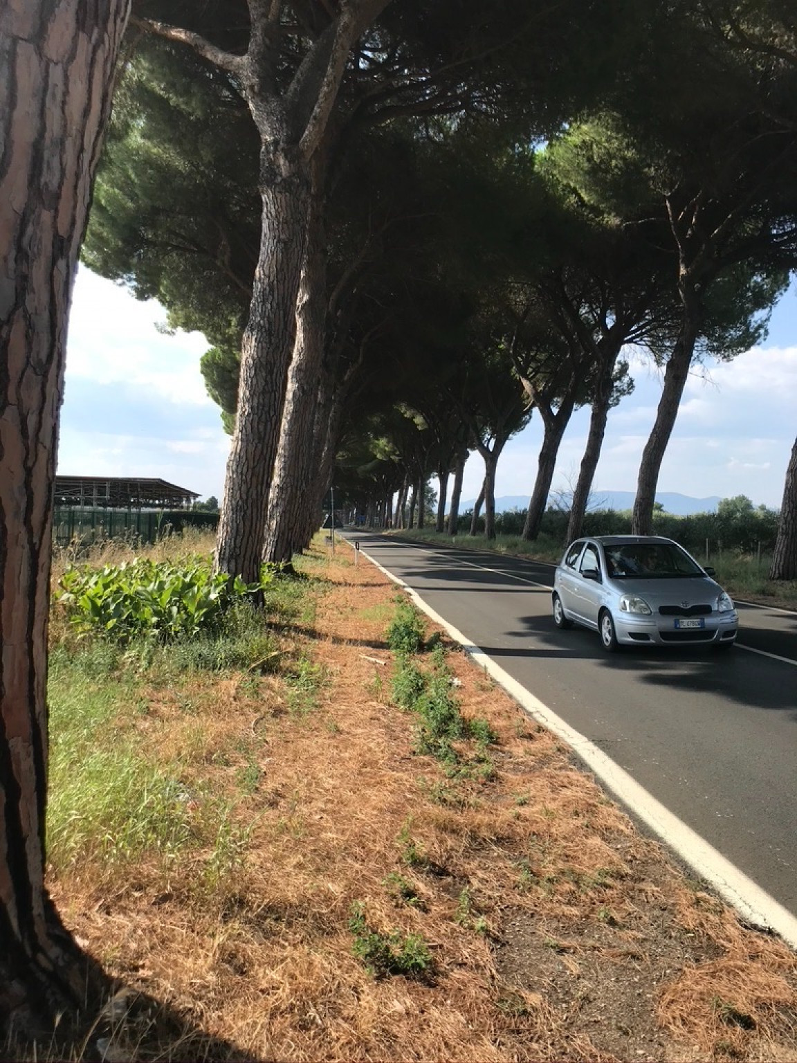 Hero le tres tabernas