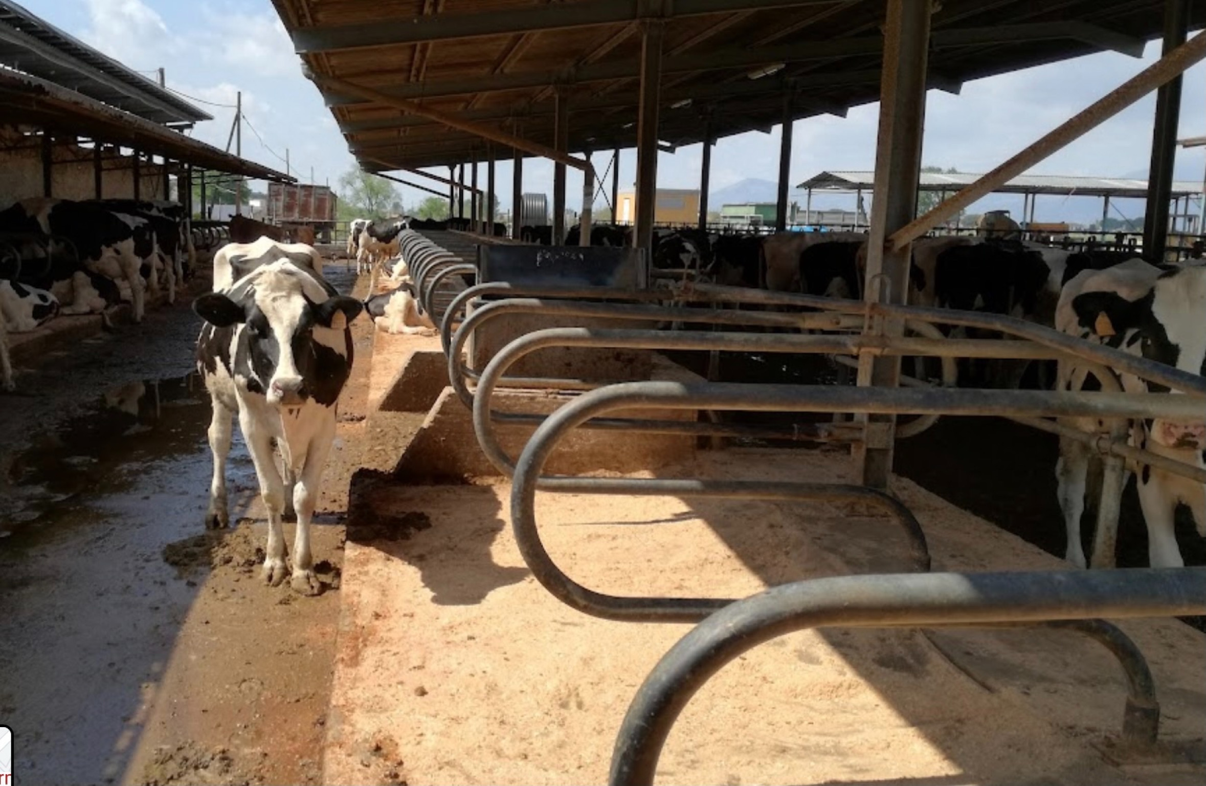 Hero azienda agricola Alan Farm