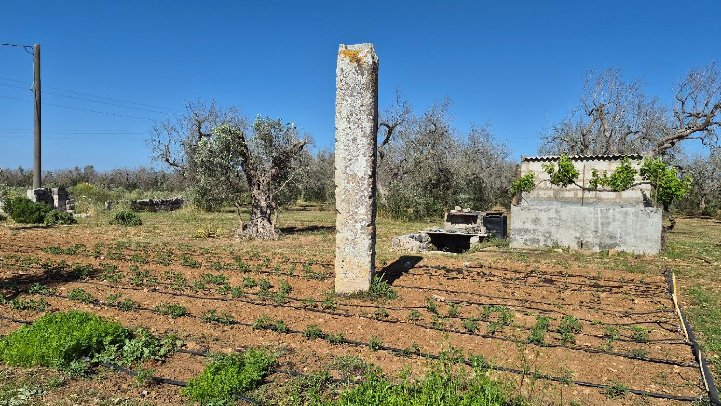 Hero Menhir Palanzano
