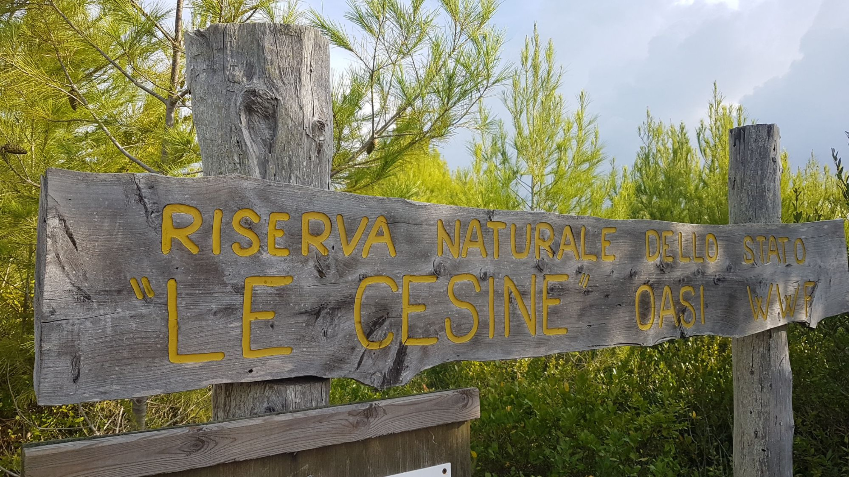 Hero Riserva naturale Le Cesine