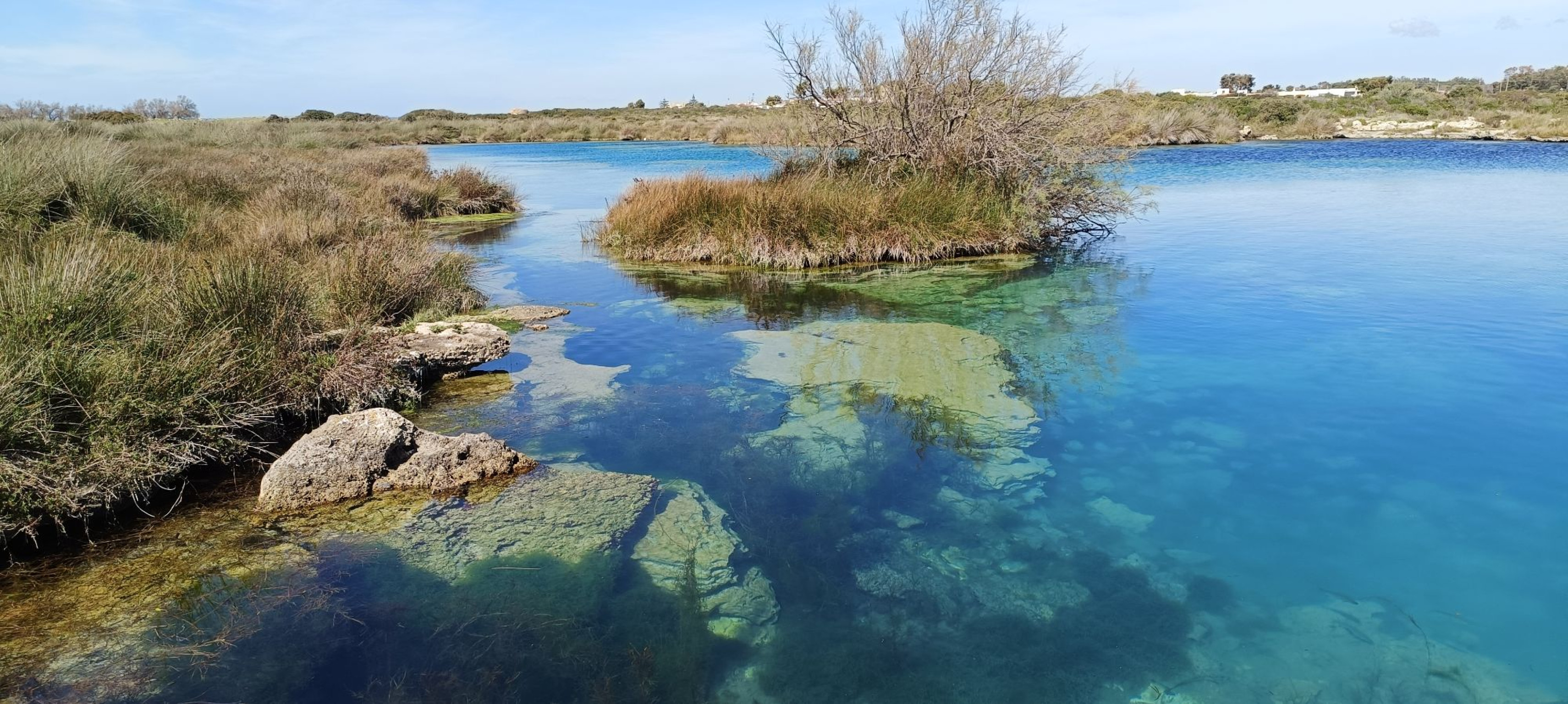 Hero Palude del Capitano (Nardò)