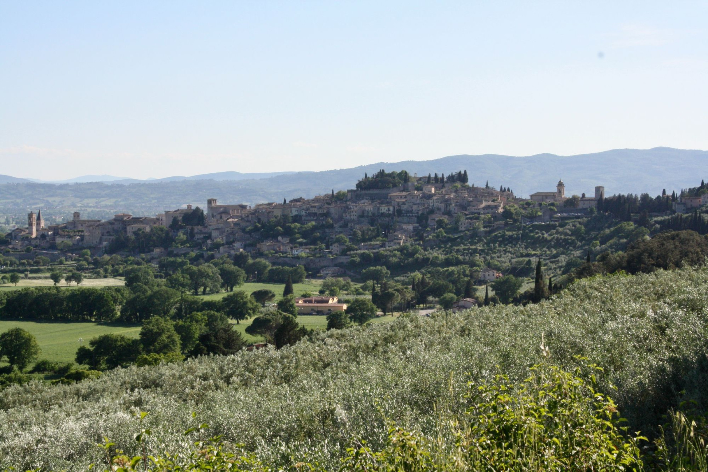 Hero Hotel il Cacciatore