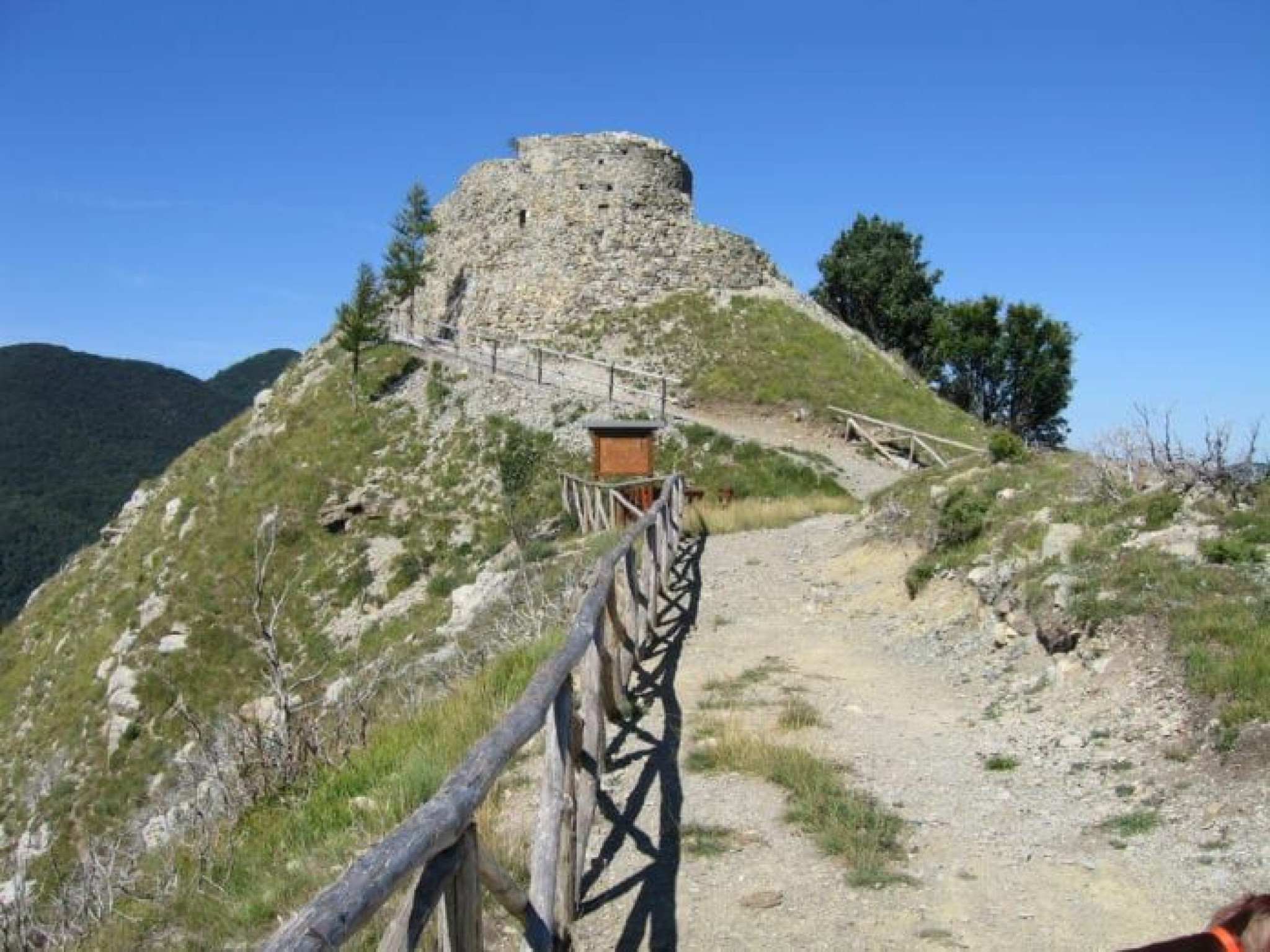 Hero Albero della Pace