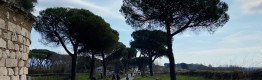 Via Appia Antica e il parco degli acquedotti