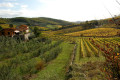 Visit Greve in Chianti and Lucolena