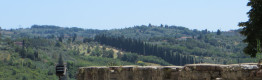 Florence Charterhouse and Impruneta