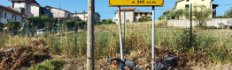 Gran Tour dei vini DOCG irpini in e-bike: Fiano di Avellino, Taurasi e Greco di Tufo