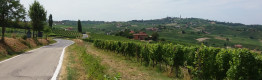 Canelli and Moscato area