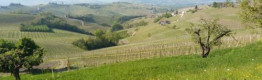 4 wines tour between Moscato and Barbaresco