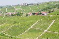 Langa del Barolo e Alta Langa