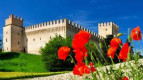 Da Petriolo fino a Tolentino, tra storia e natura