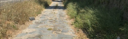 Appia Antica Ariccia-Borgo Faiti