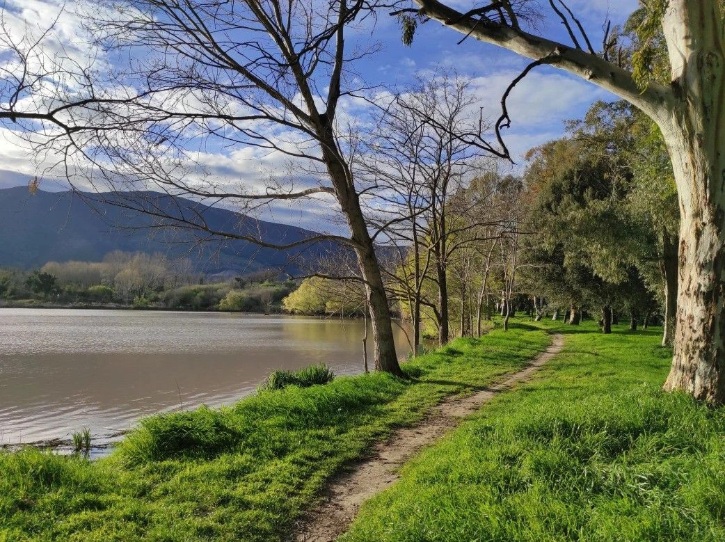 Falciano del Massico