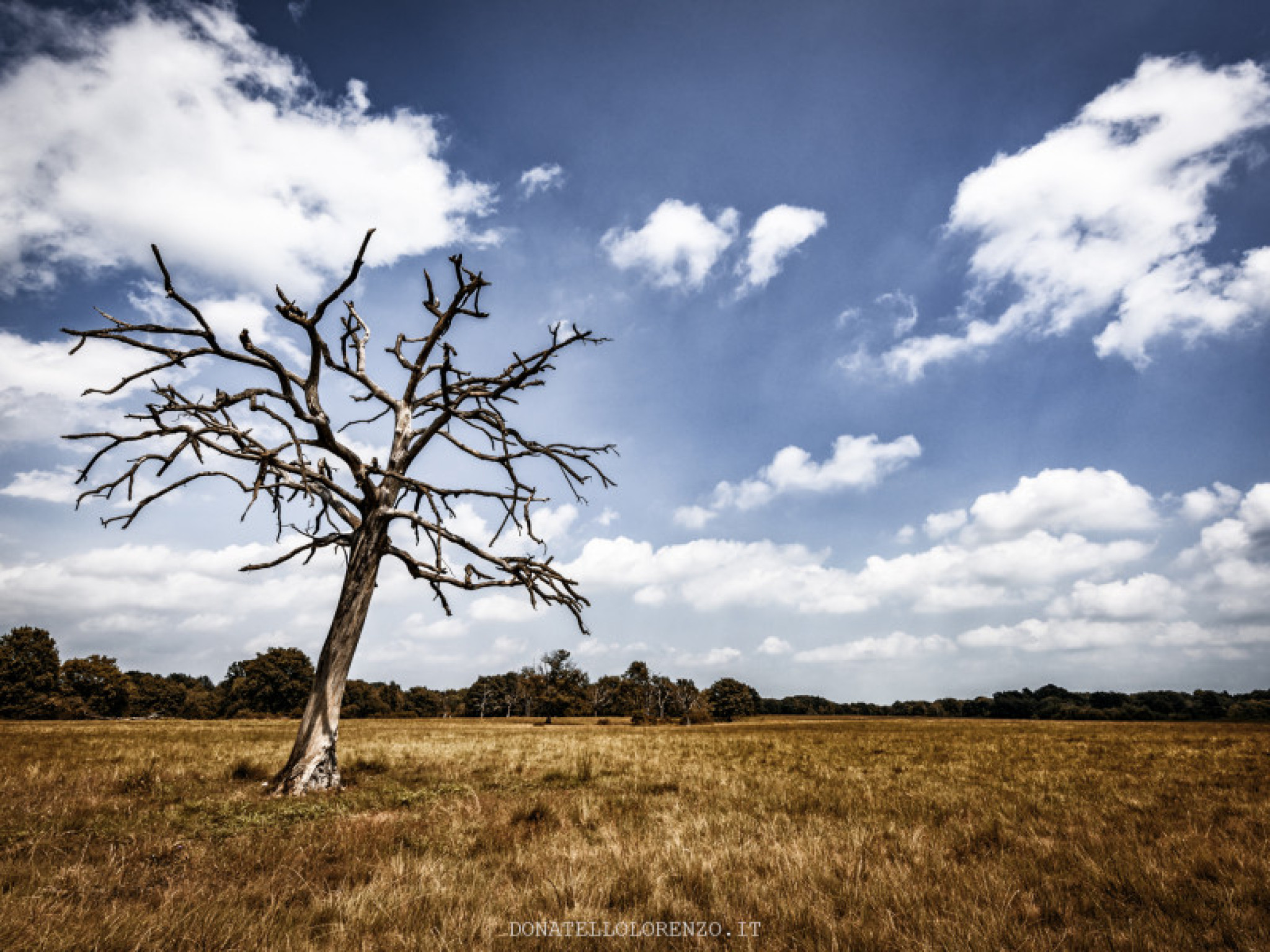 Hero Tra il riso e la savana della Baraggia