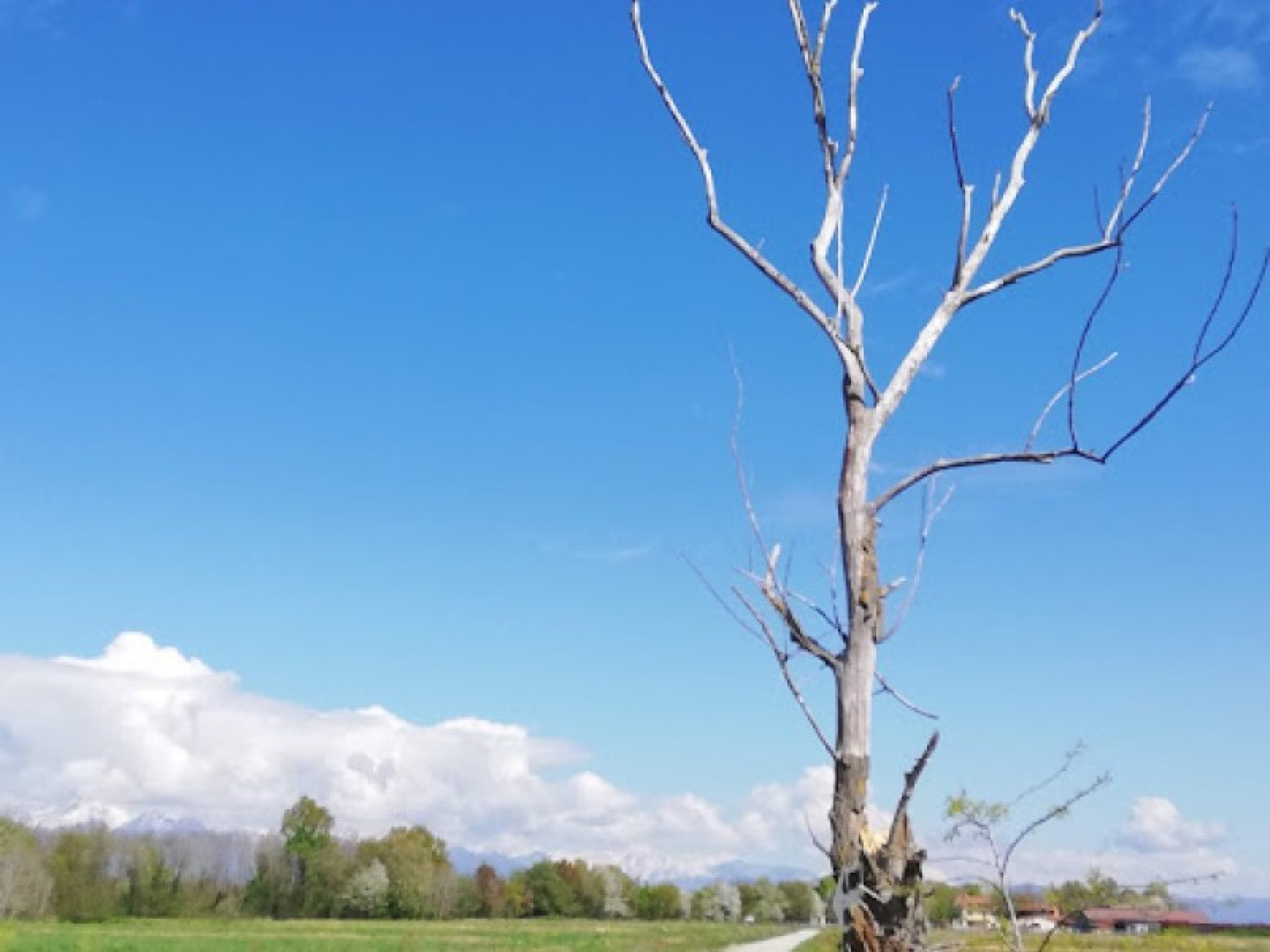 Hero L'anello del bosco di Buronzo