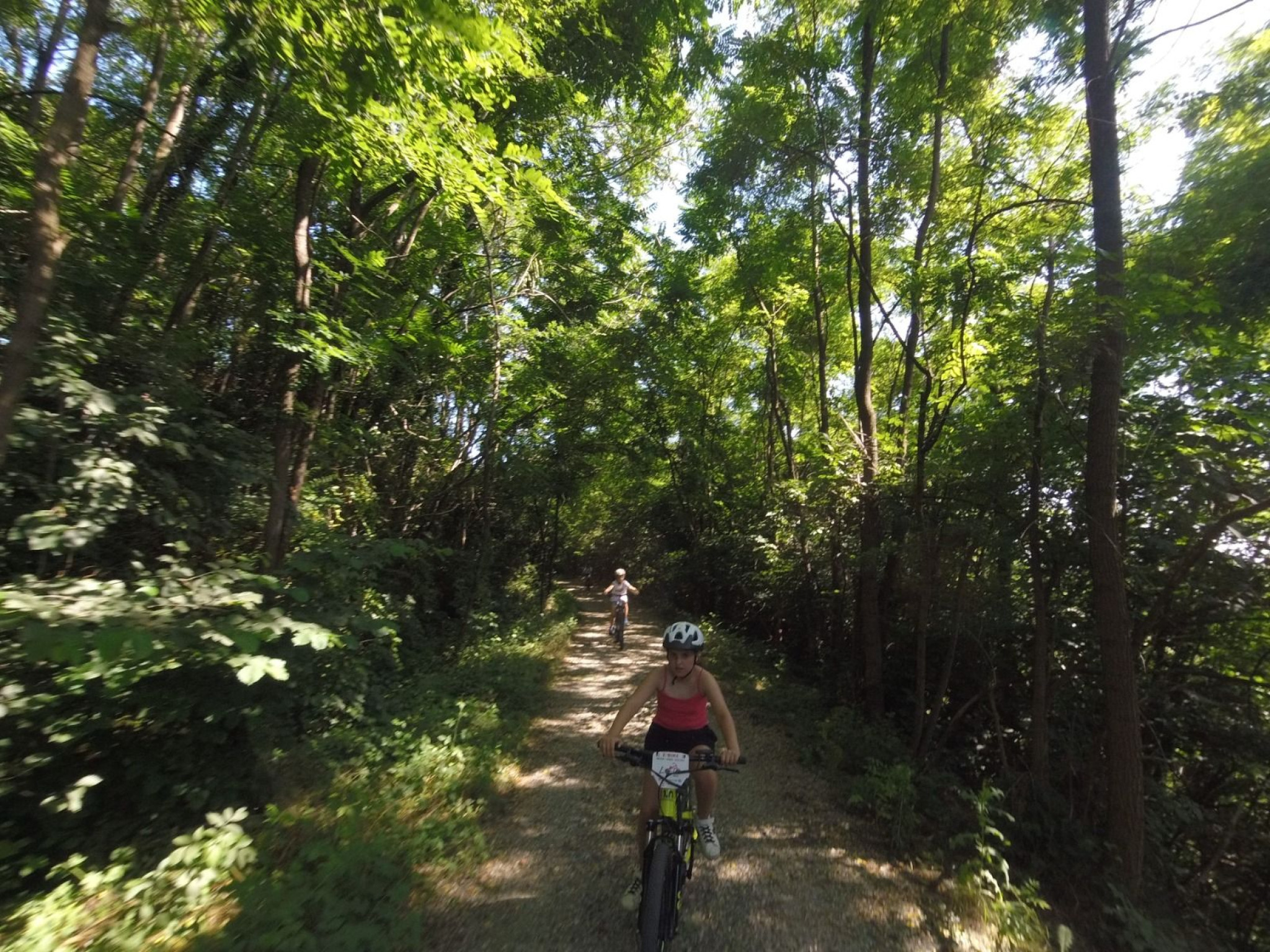 Hero Le vigne ed i boschi della Morena Ovest