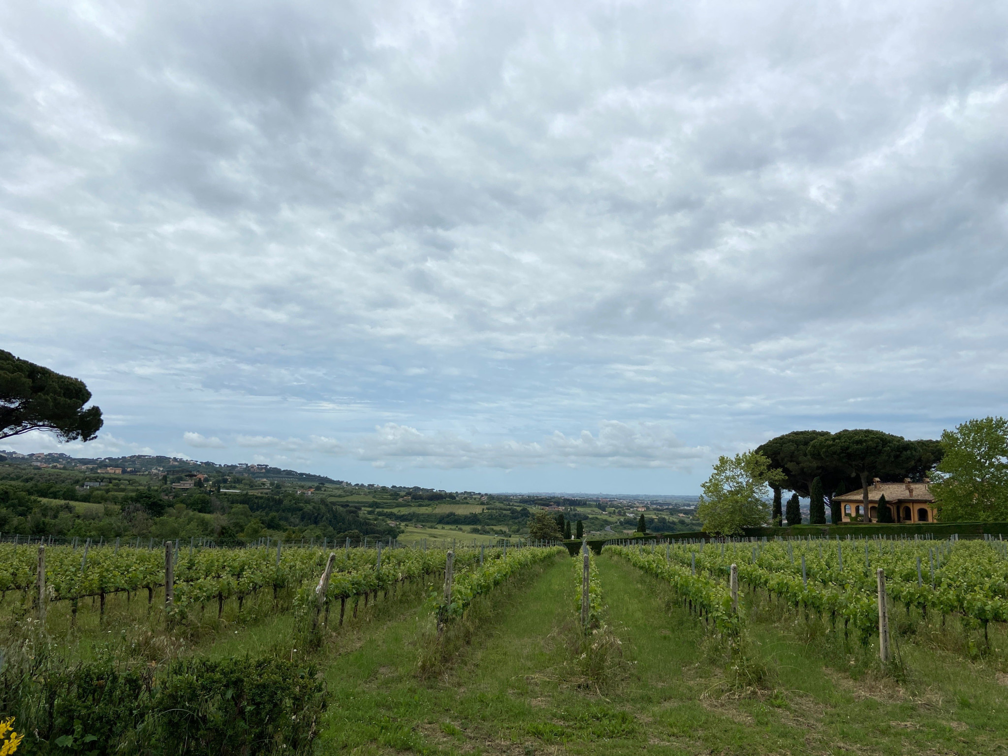 Hero Valle Marciana e i suoi vini 