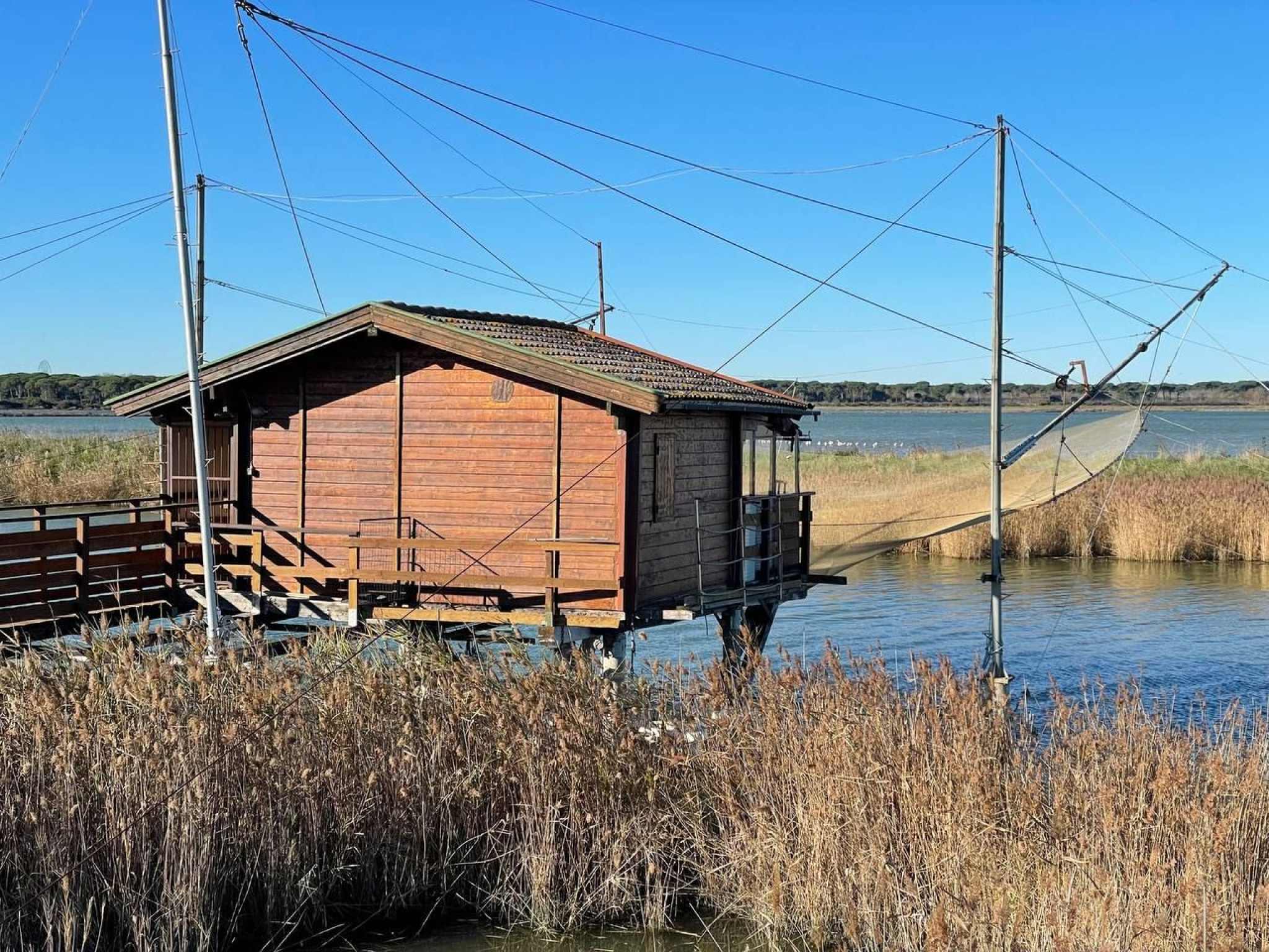 Hero Pineta dell'Ortazzo e dell'Ortazzino e Chiesa di Sant'Apollinare